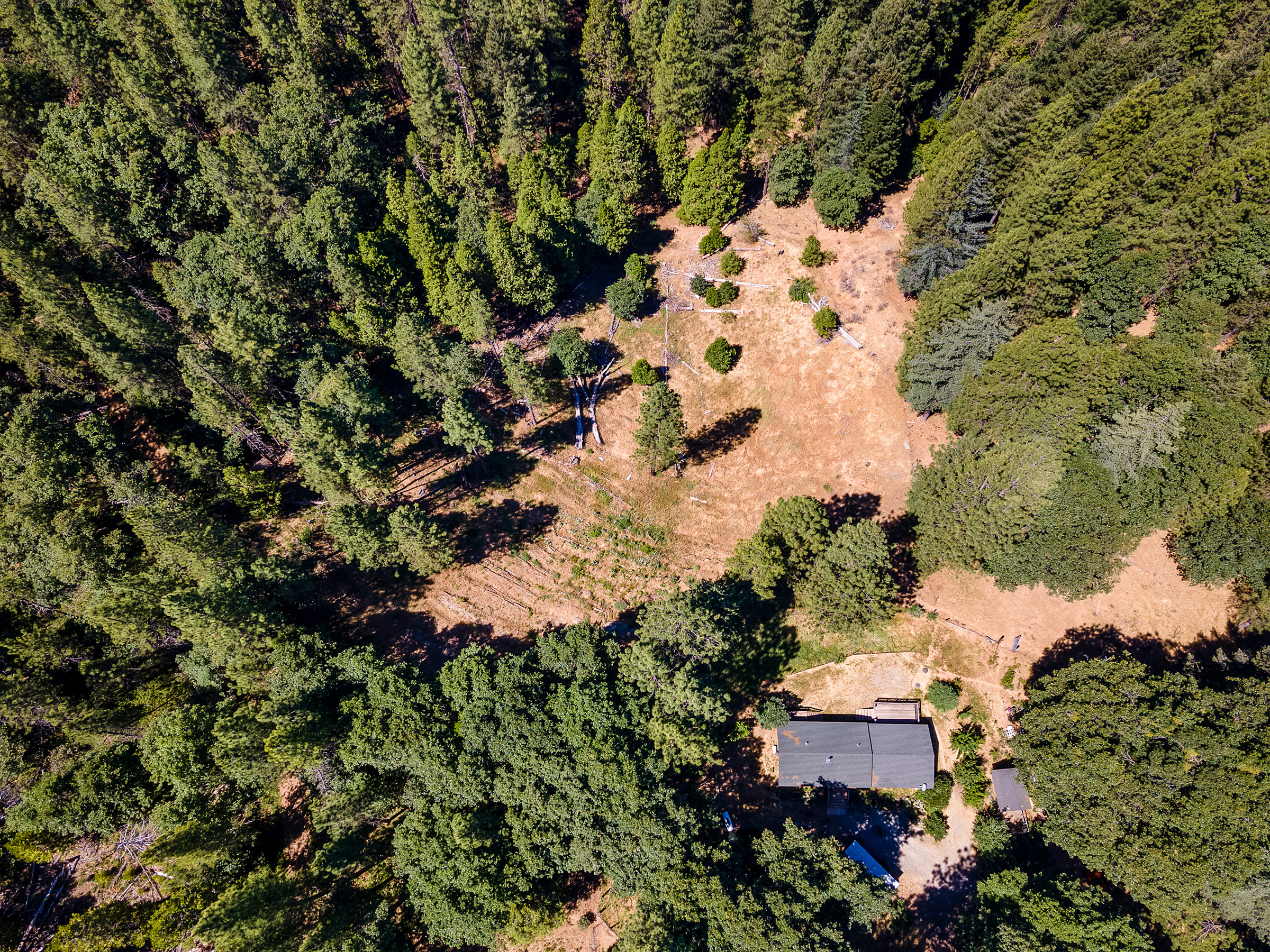 1423 Argonaut Lane 