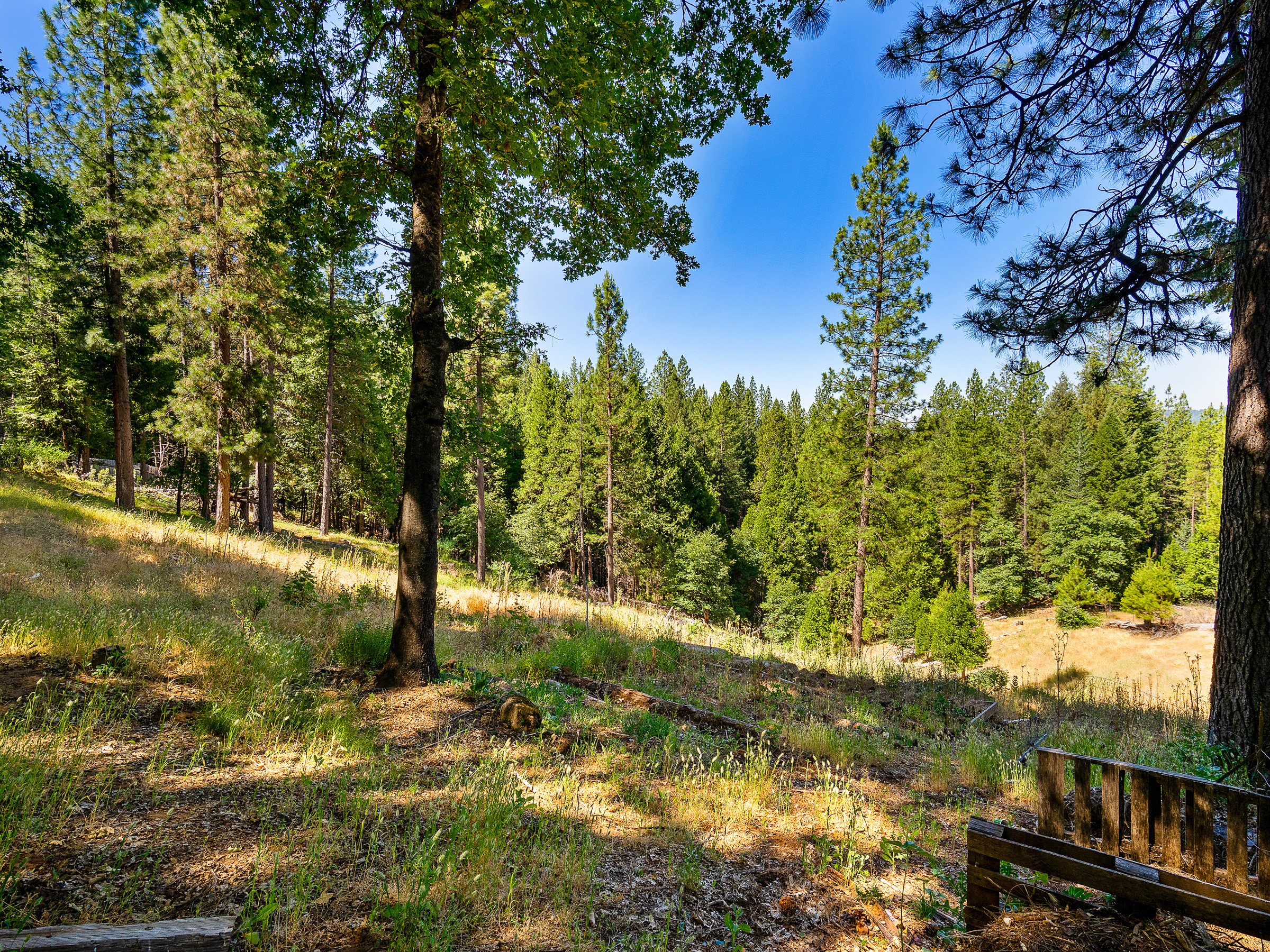 1423 Argonaut Lane 