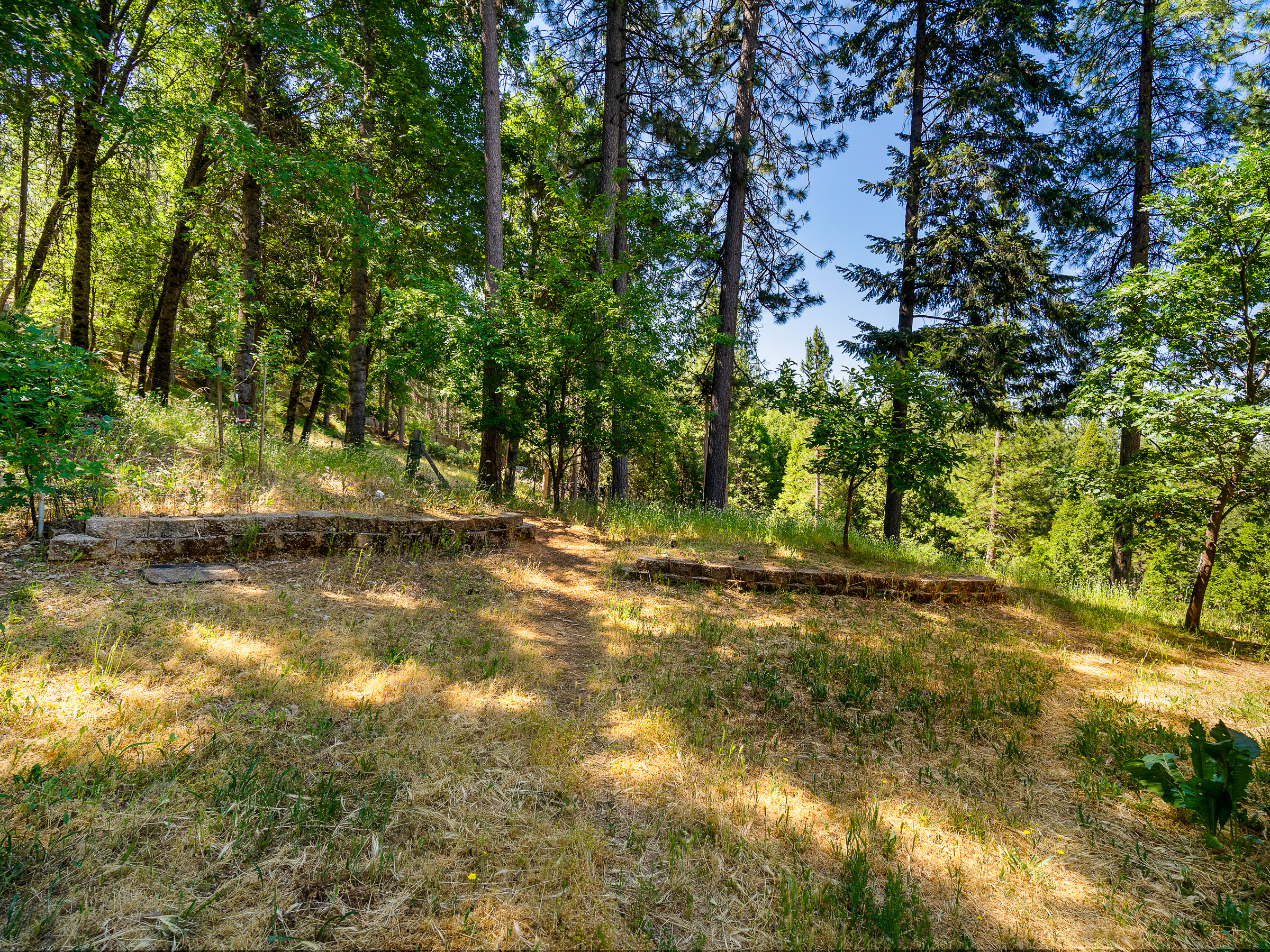1423 Argonaut Lane 