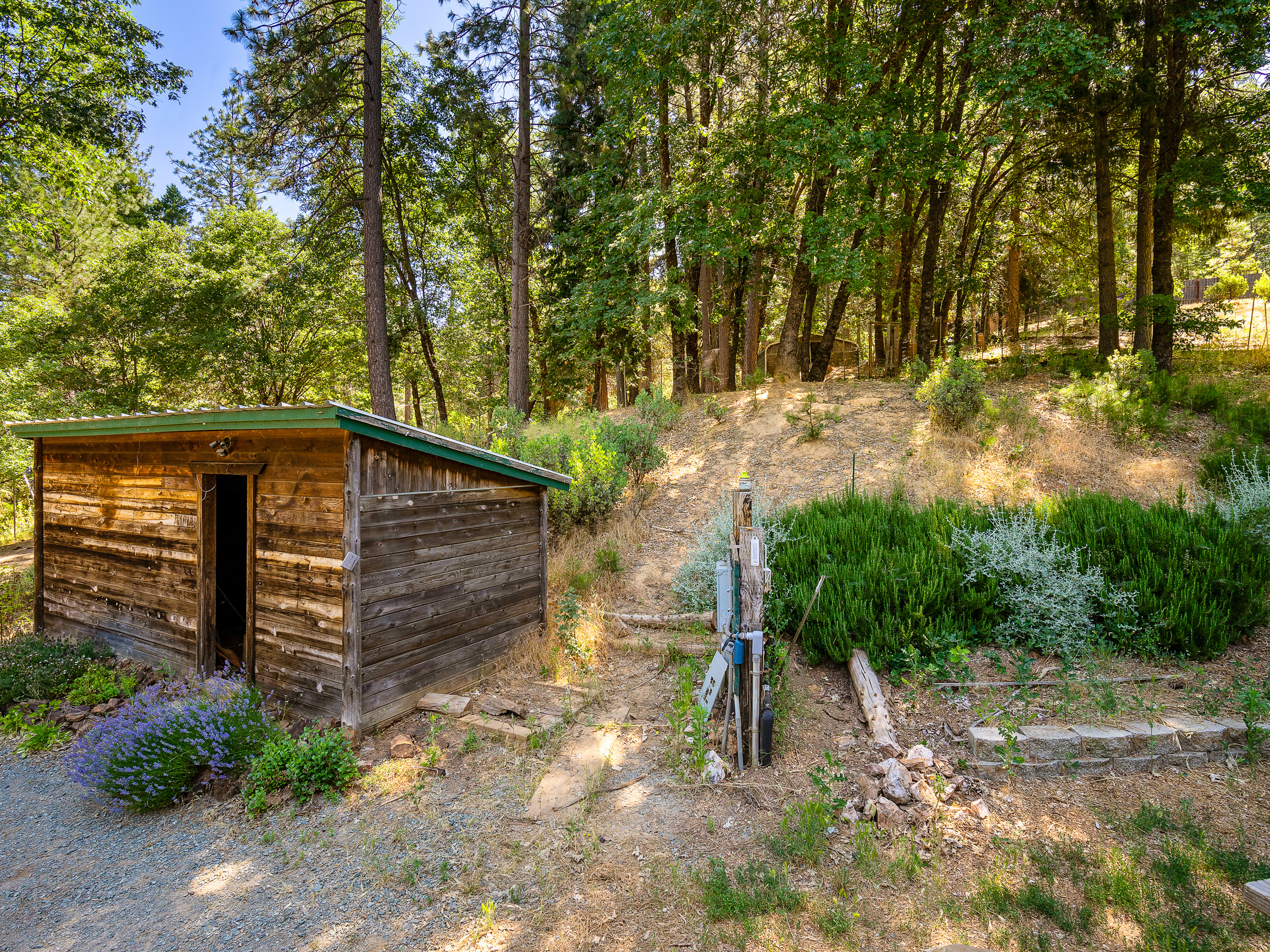 1423 Argonaut Lane 