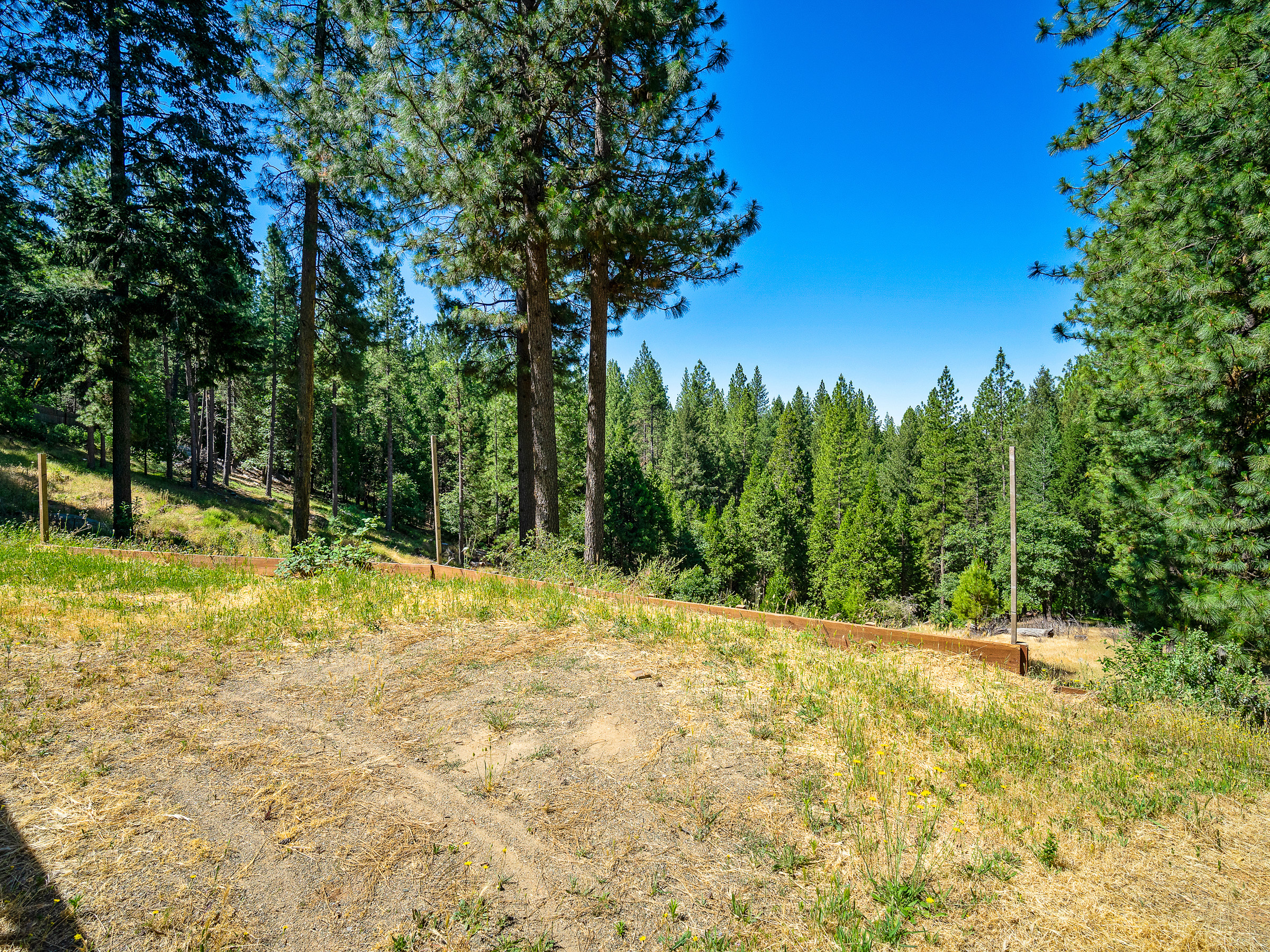 1423 Argonaut Lane 