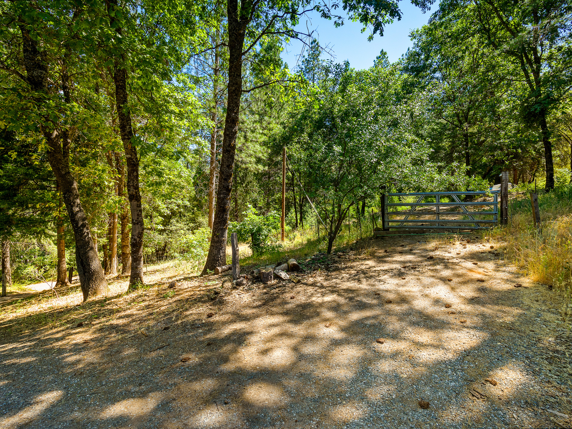 1423 Argonaut Lane 