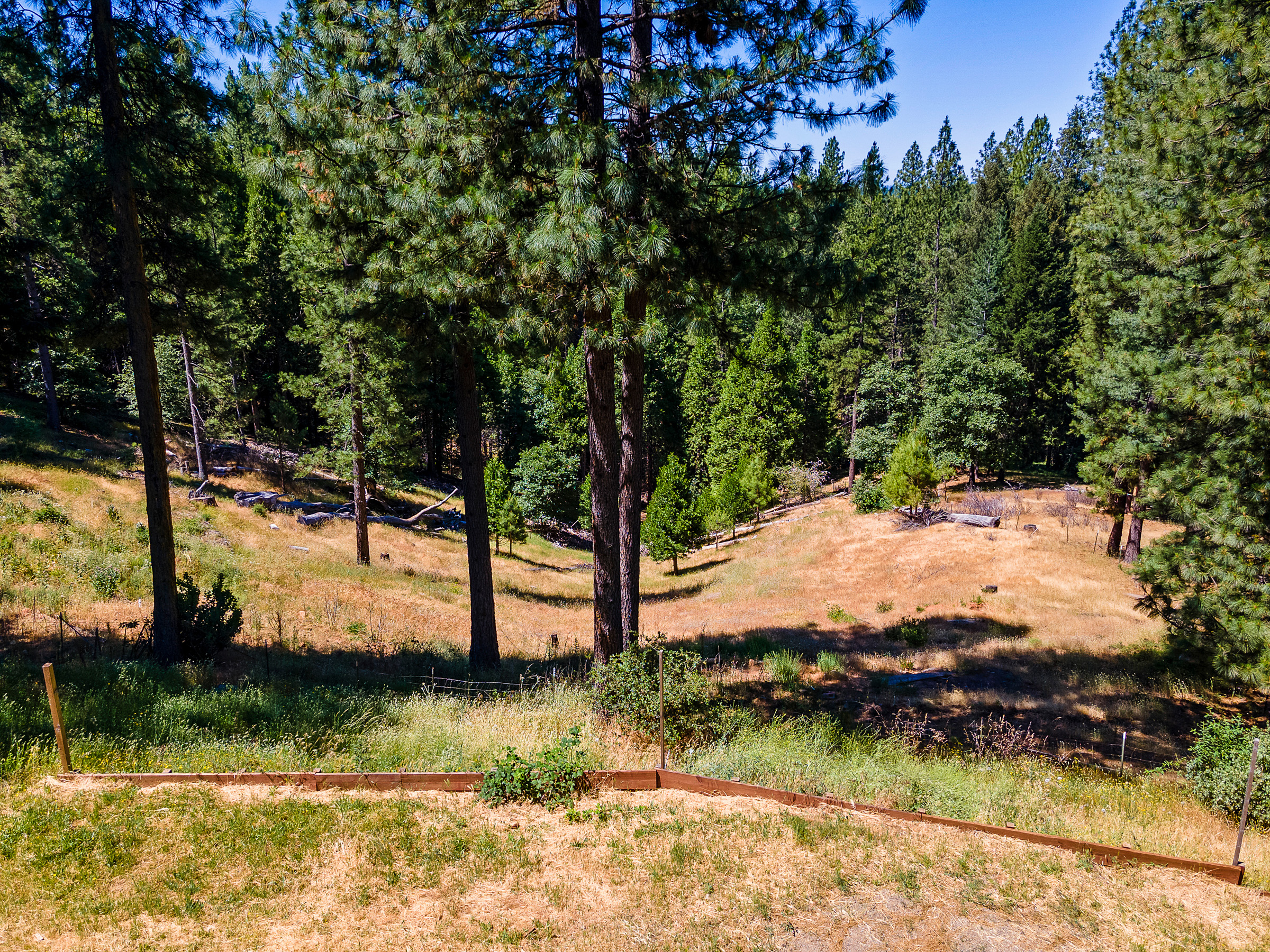 1423 Argonaut Lane 