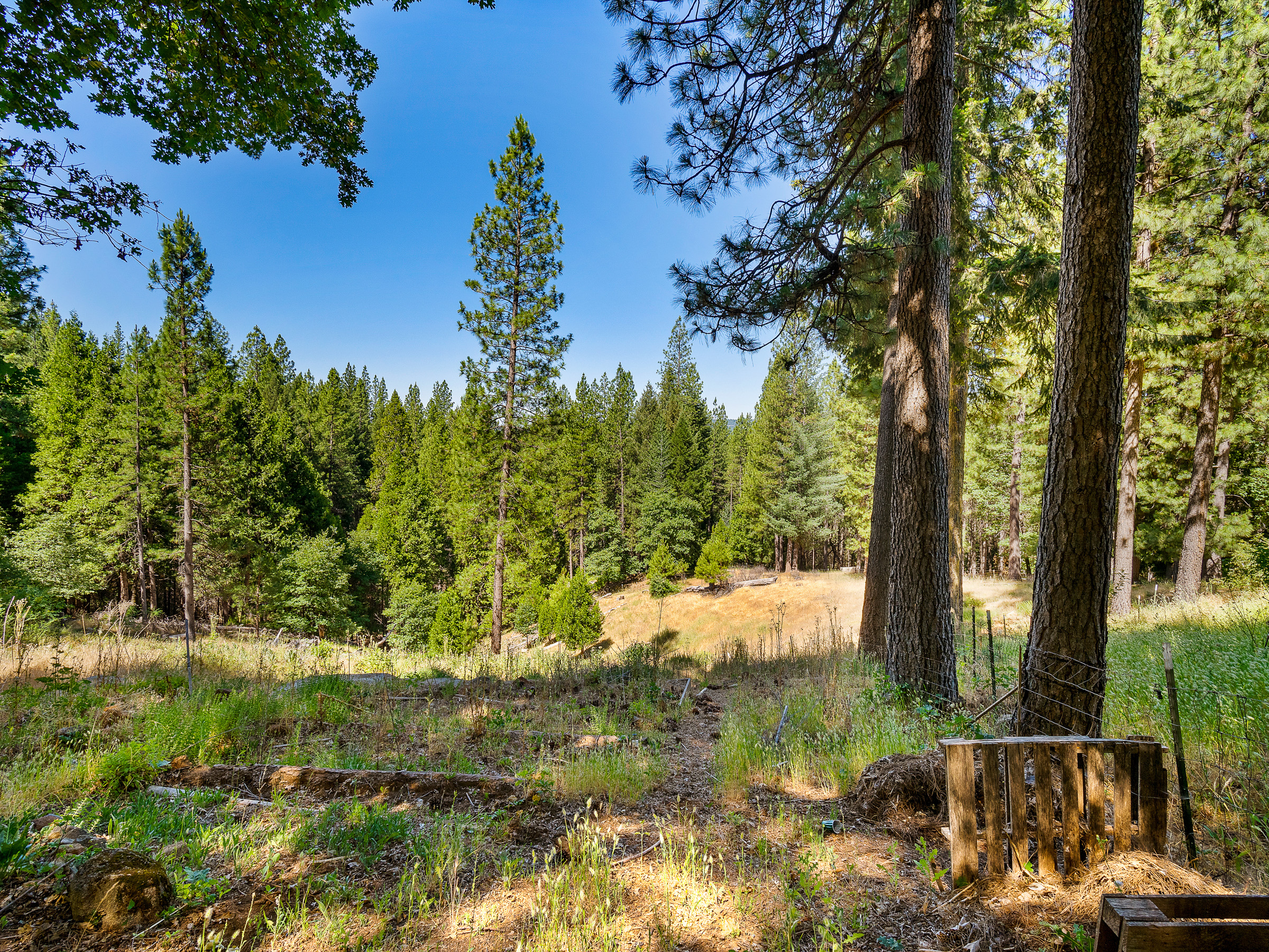 1423 Argonaut Lane 