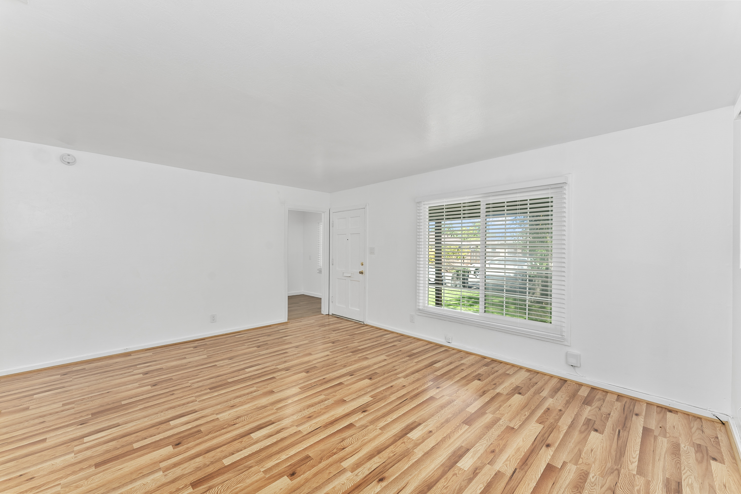 5516 Carmela Way 