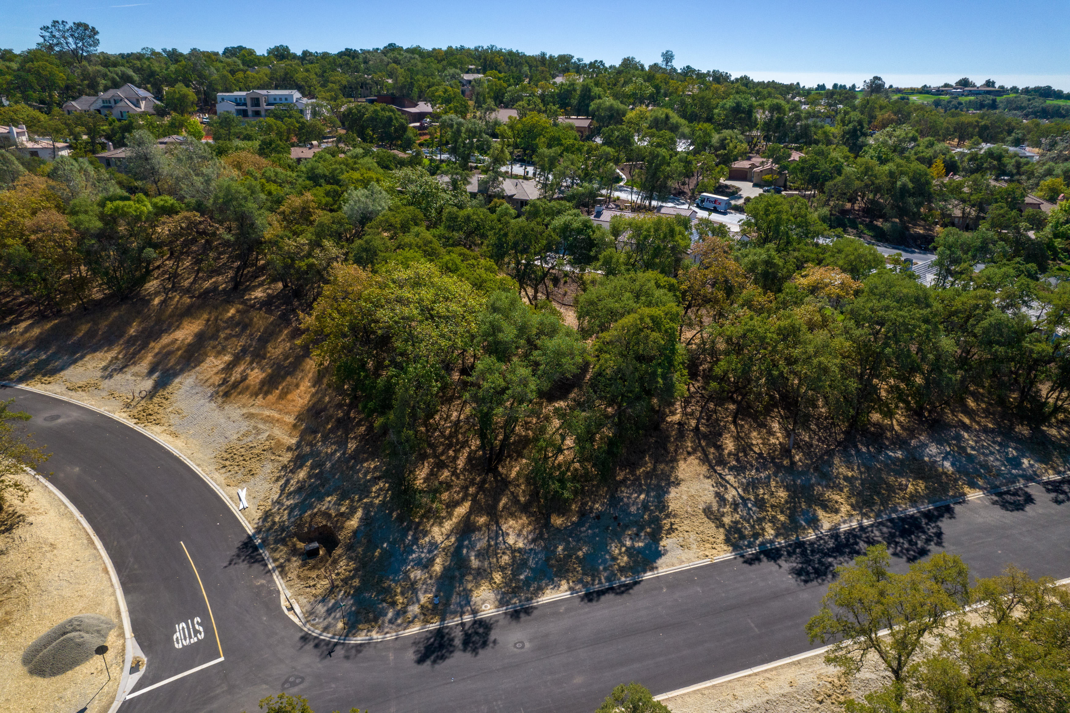 4239 Raphael, Lot 78 
