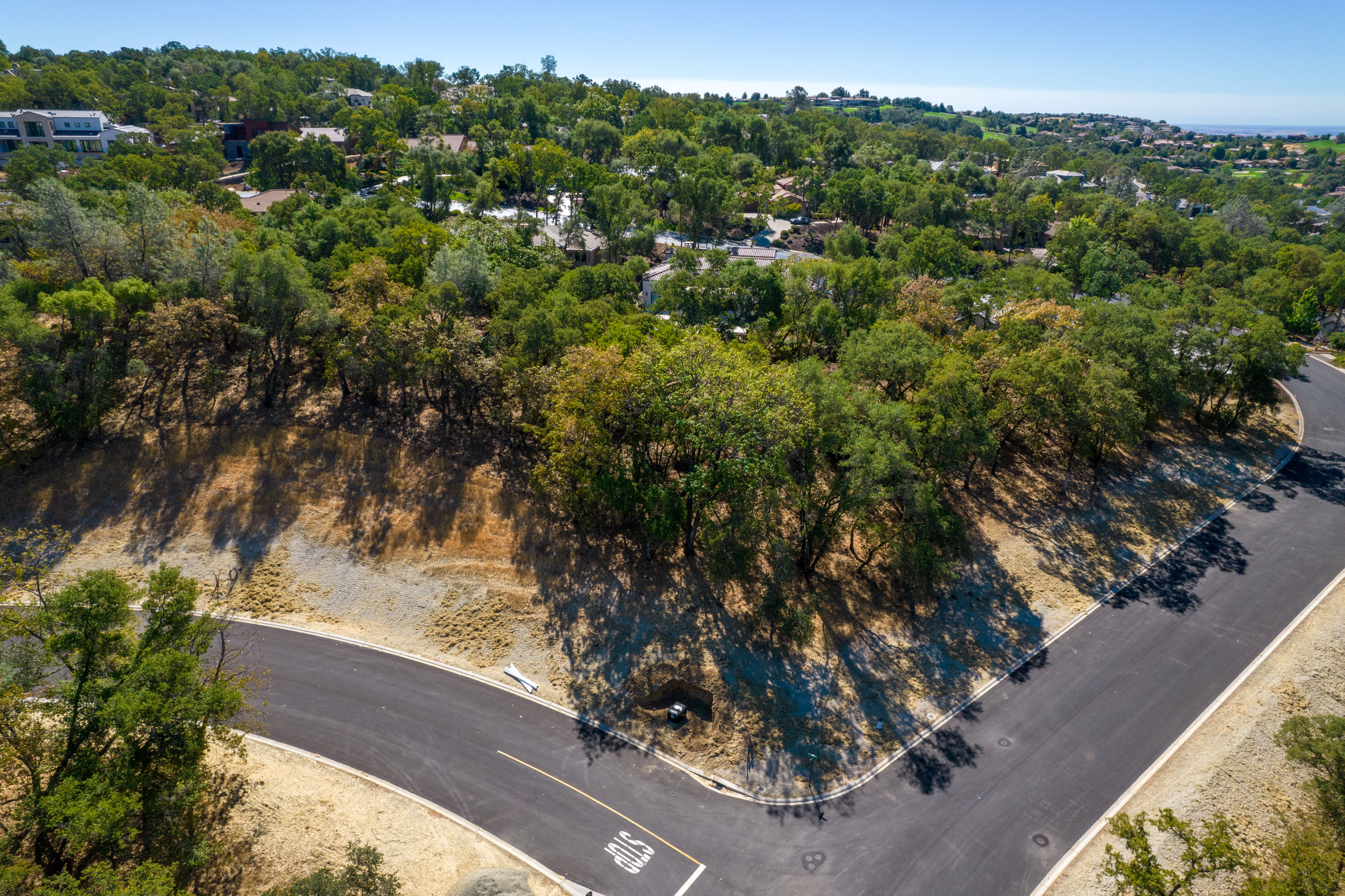 4239 Raphael, Lot 78 