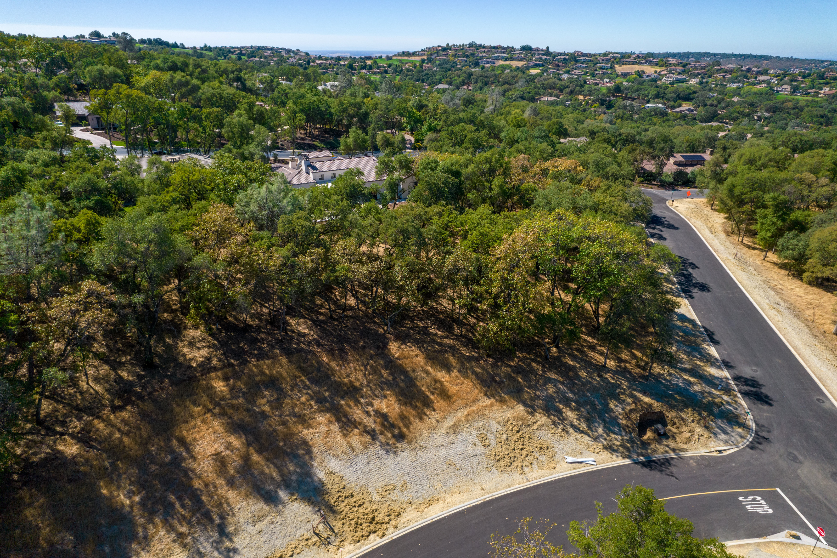 4239 Raphael, Lot 78 