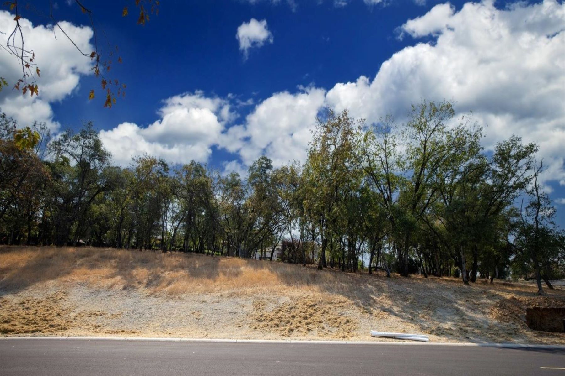 4239 Raphael, Lot 78 