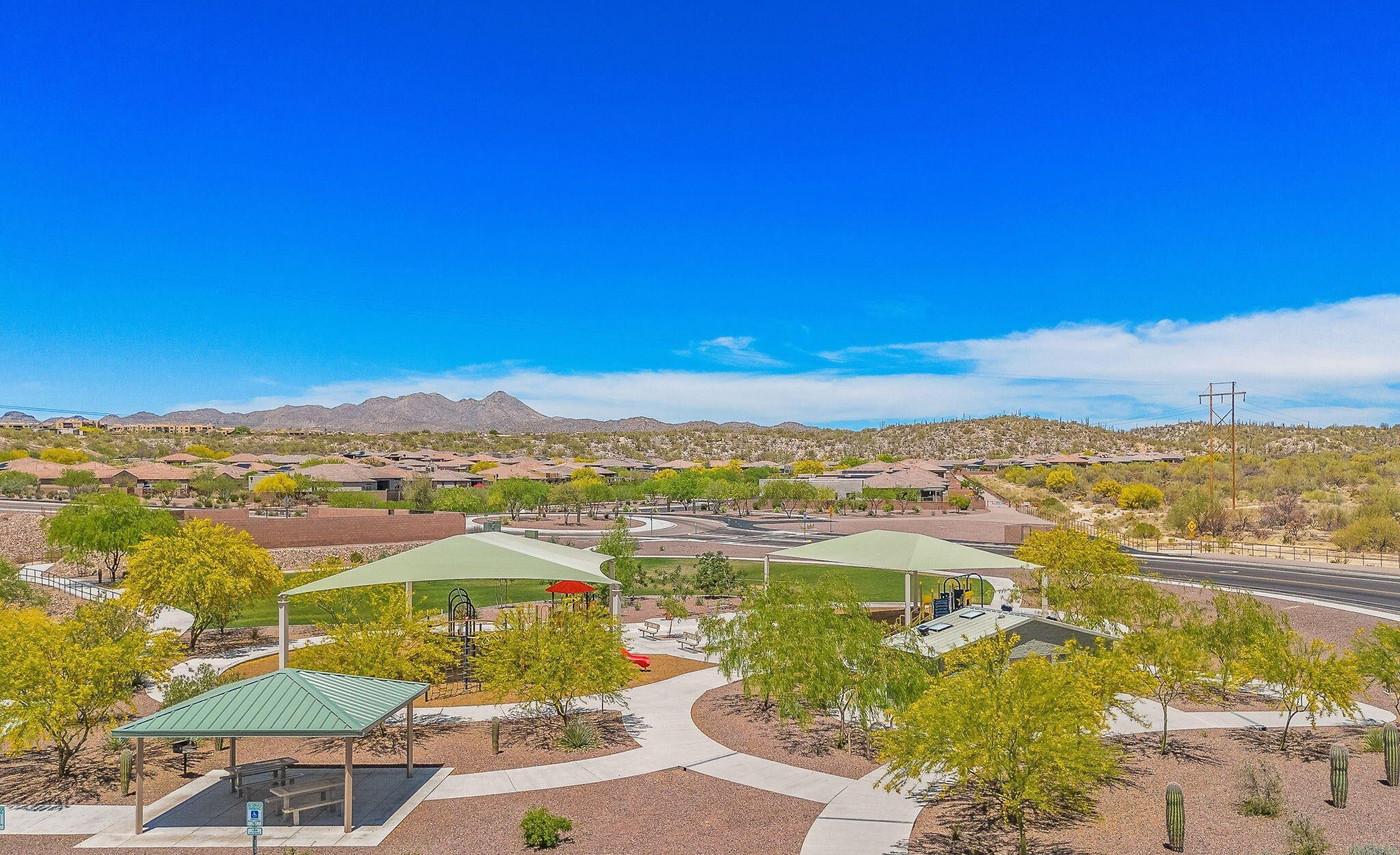 13415 N Fiesta Flower Dr 