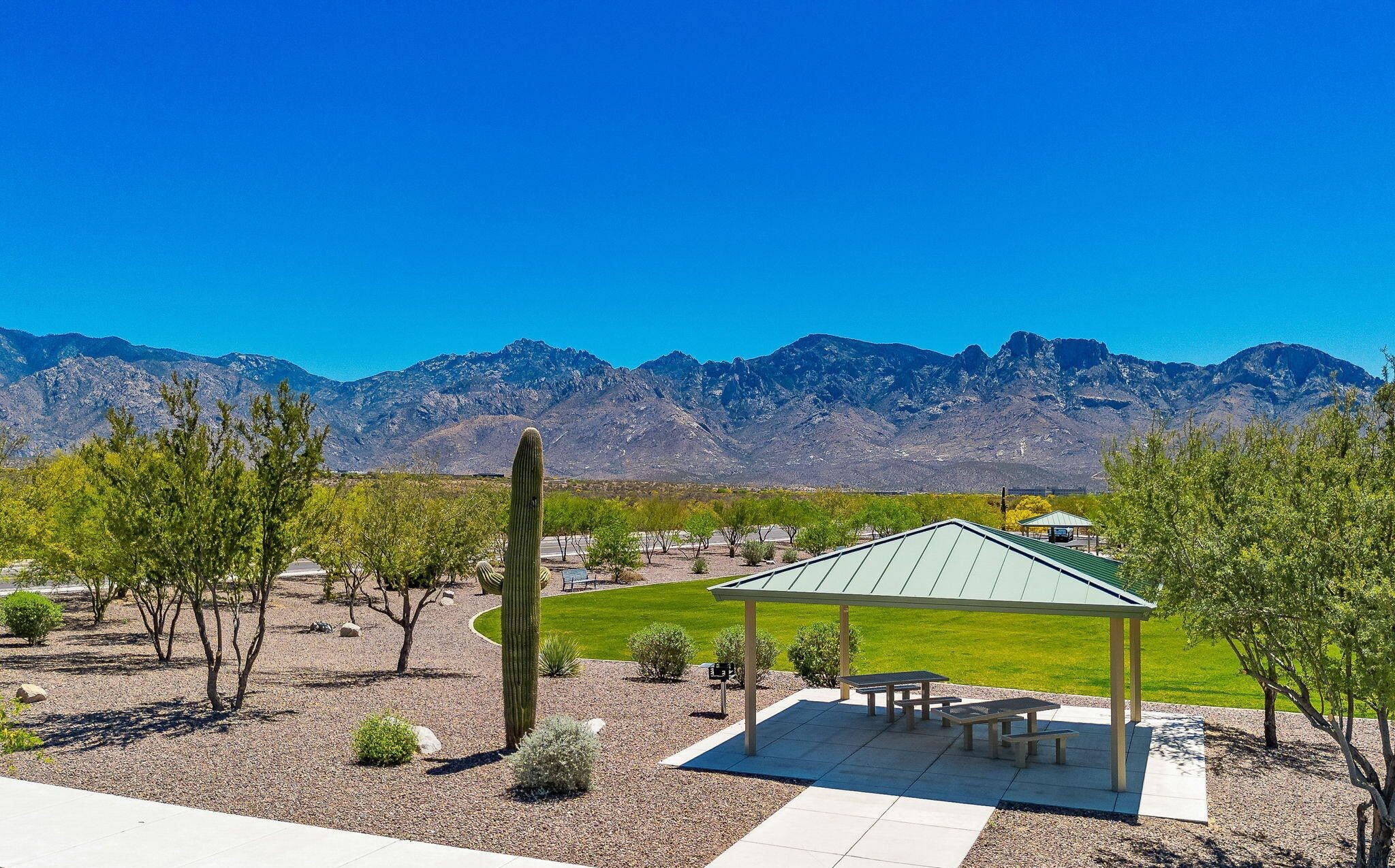 13415 N Fiesta Flower Dr 