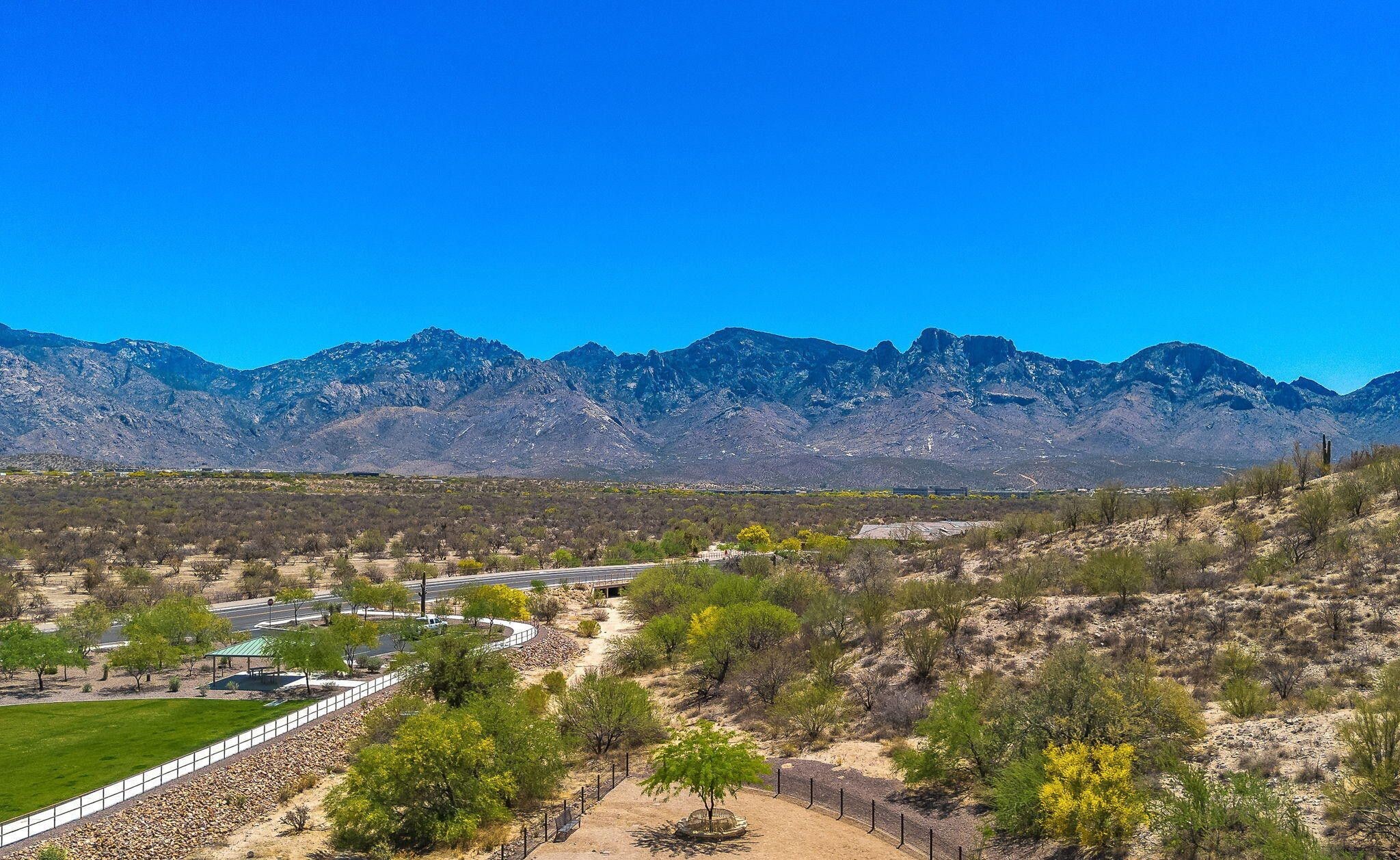 13415 N Fiesta Flower Dr 