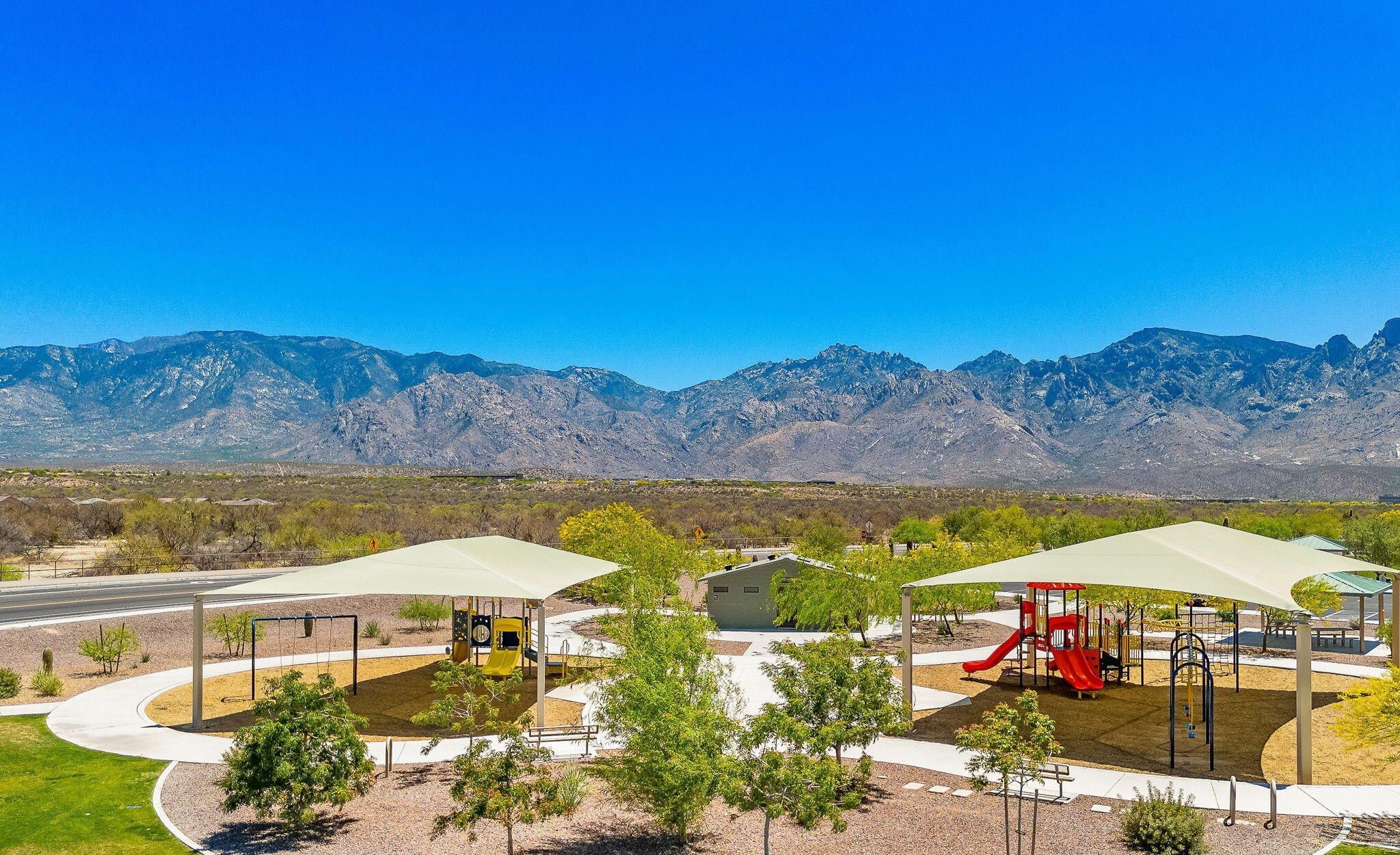 13415 N Fiesta Flower Dr 