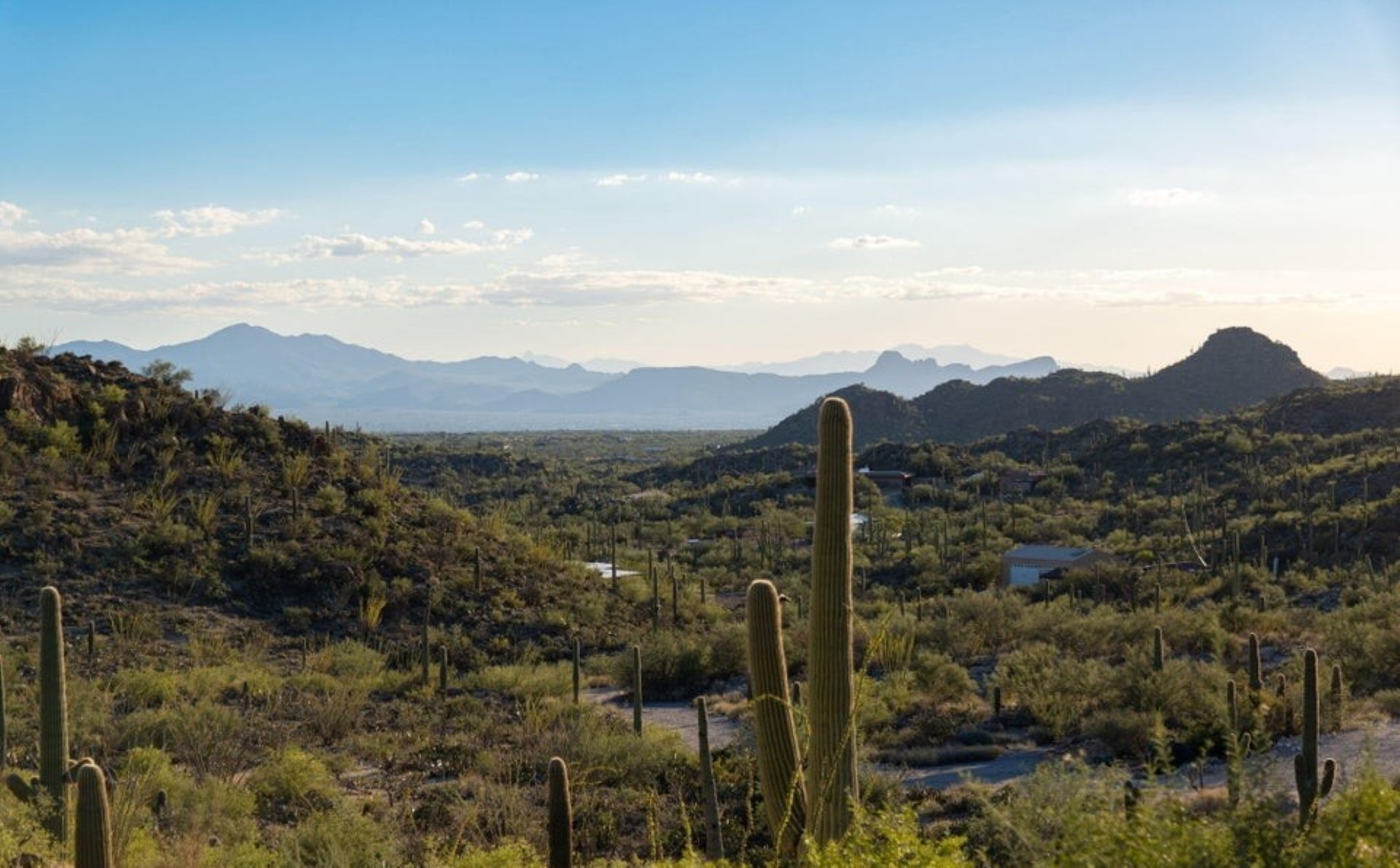 14192 N Gecko Canyon Trail 