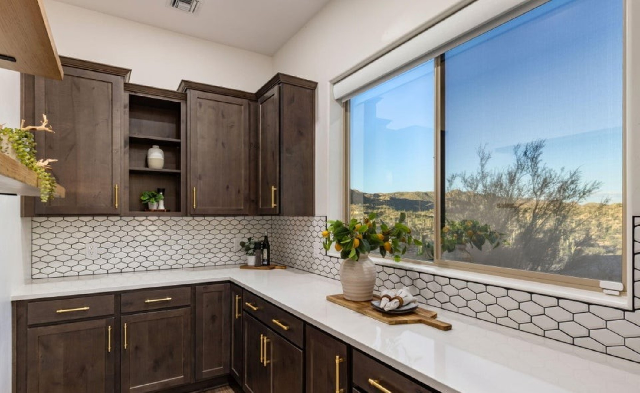 14192 N Gecko Canyon Trail 