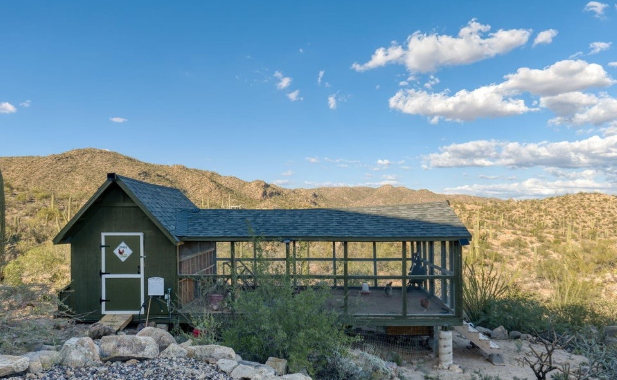 14192 N Gecko Canyon Trail 