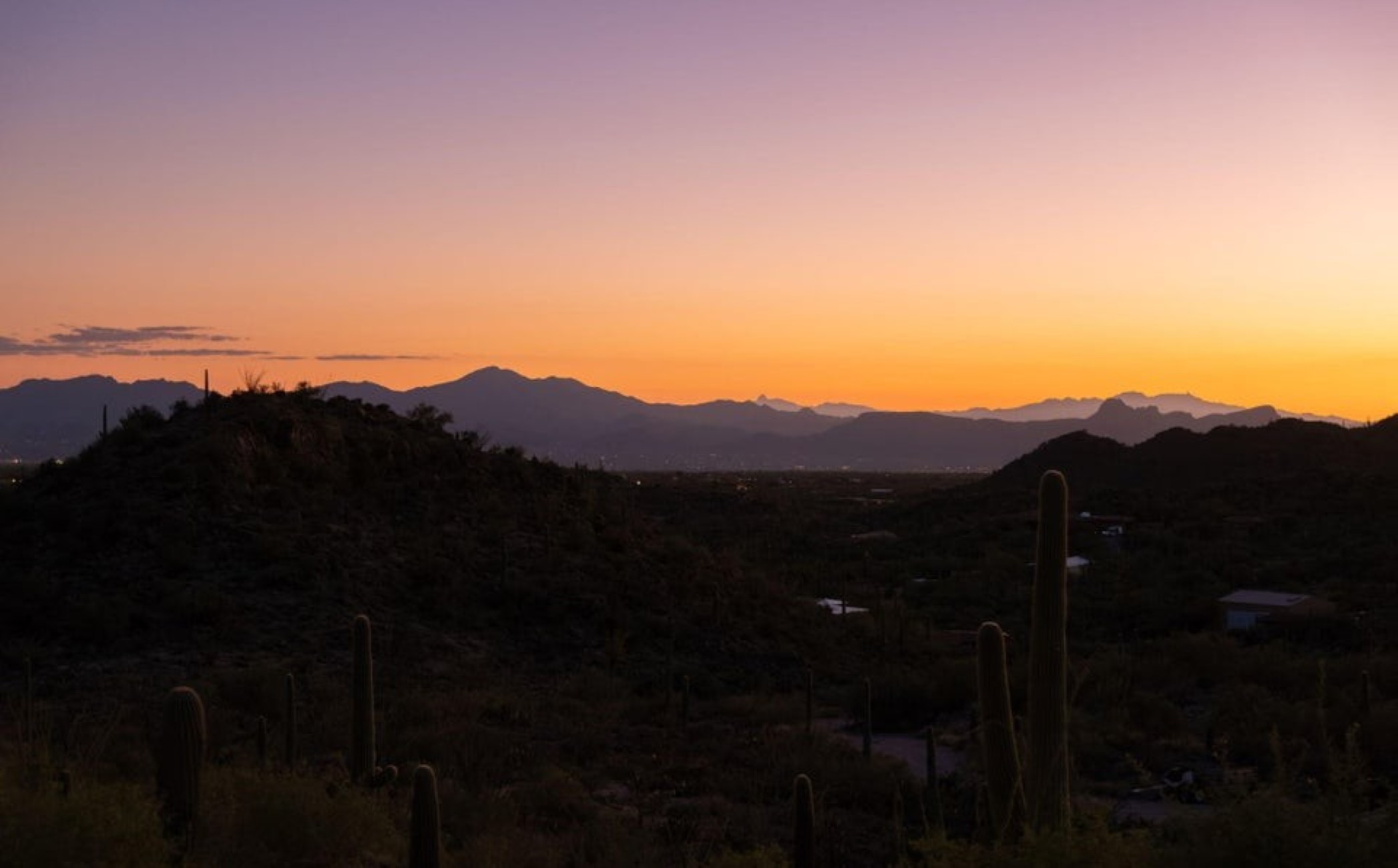 14192 N Gecko Canyon Trail 