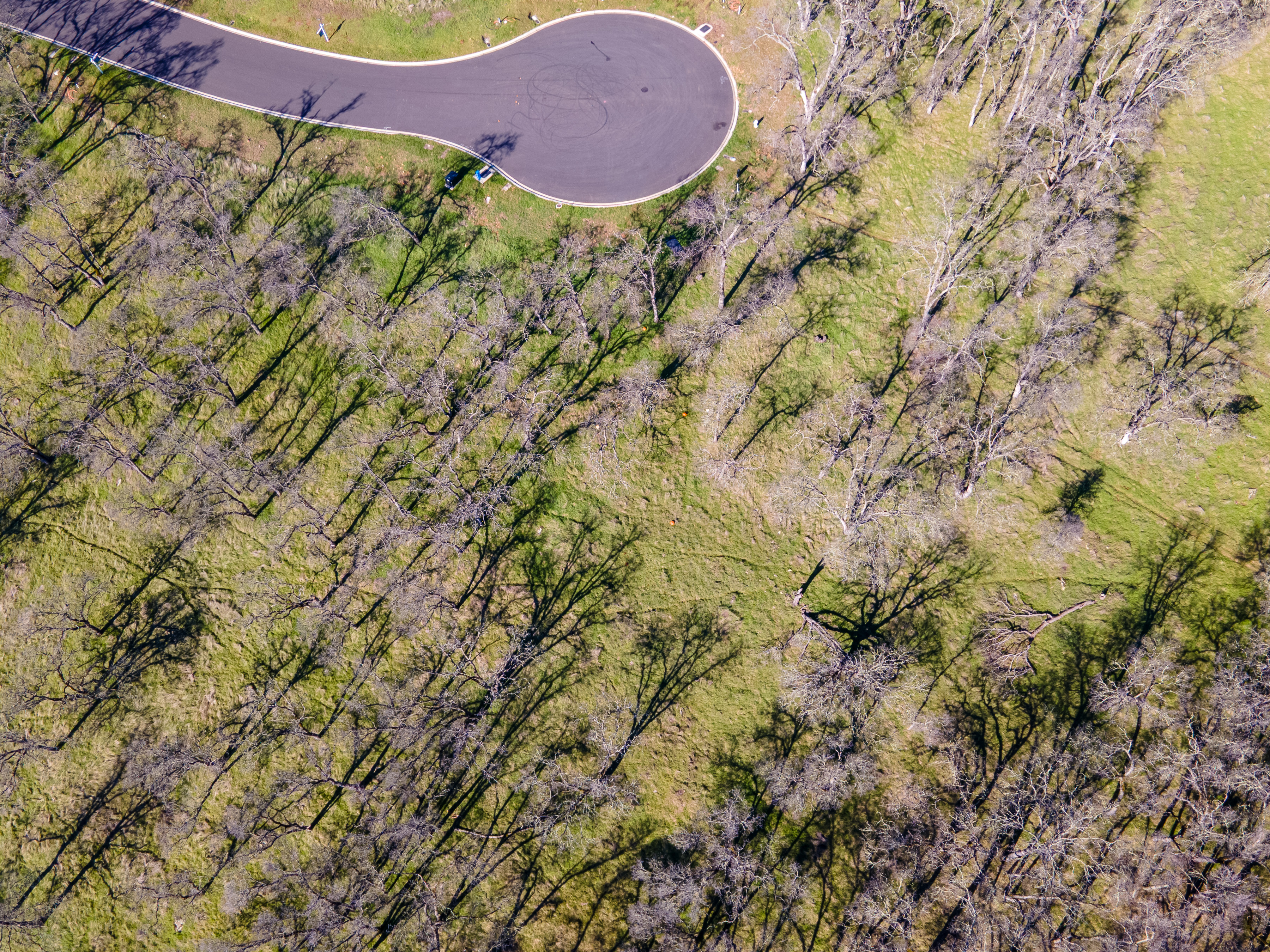 711 Peabody Court lot 148 