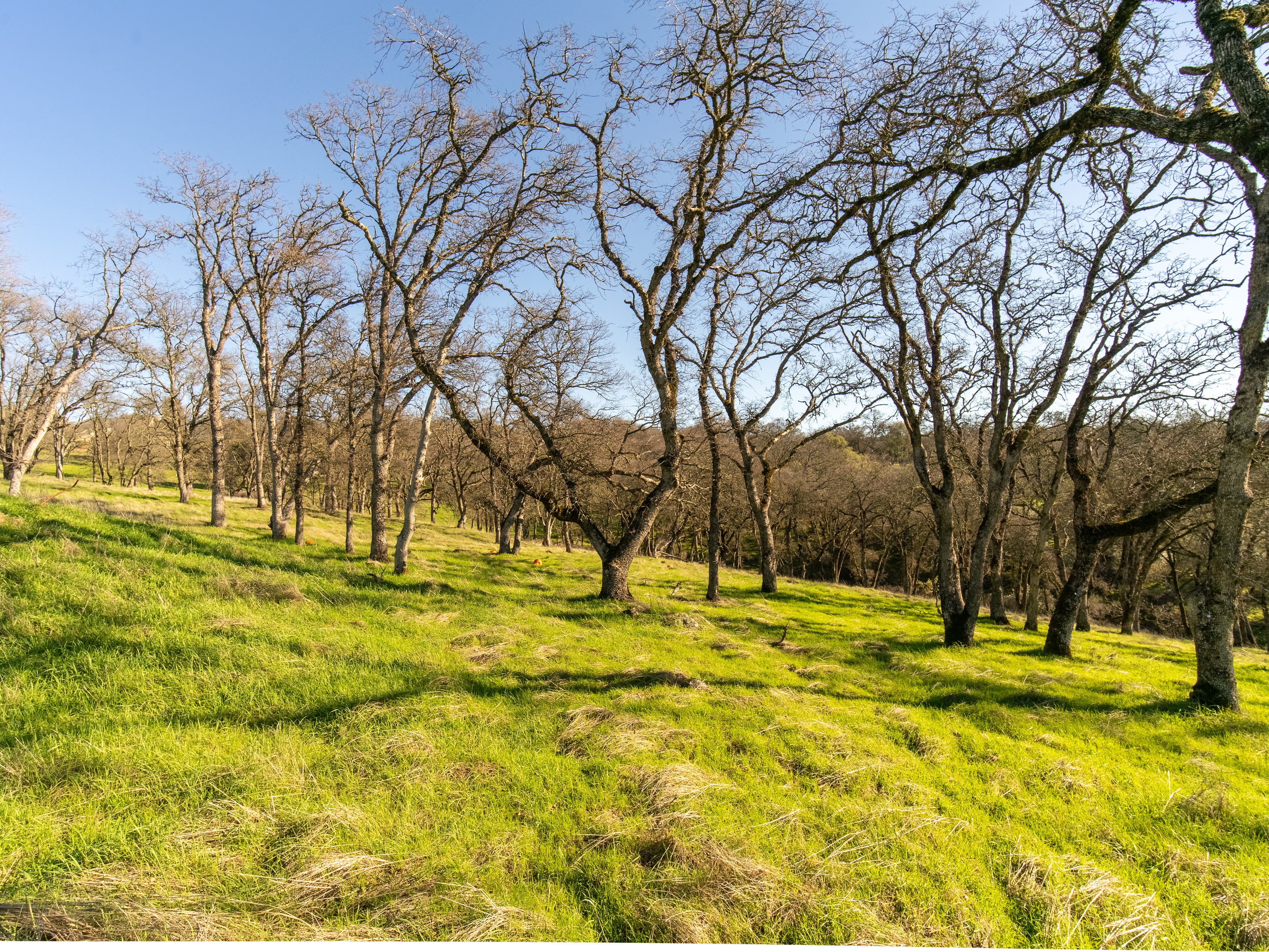 711 Peabody Court lot 148 