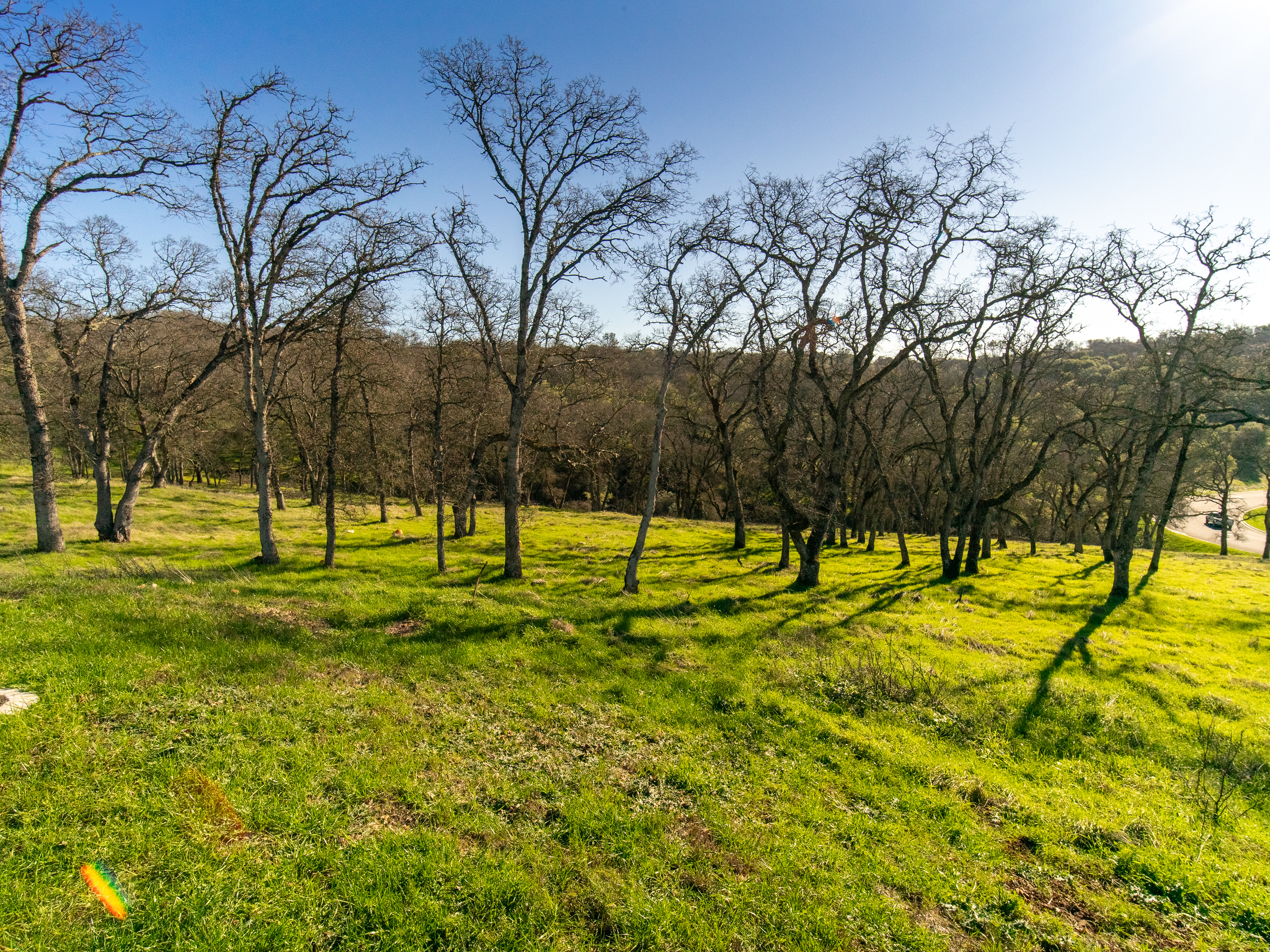 711 Peabody Court lot 148 