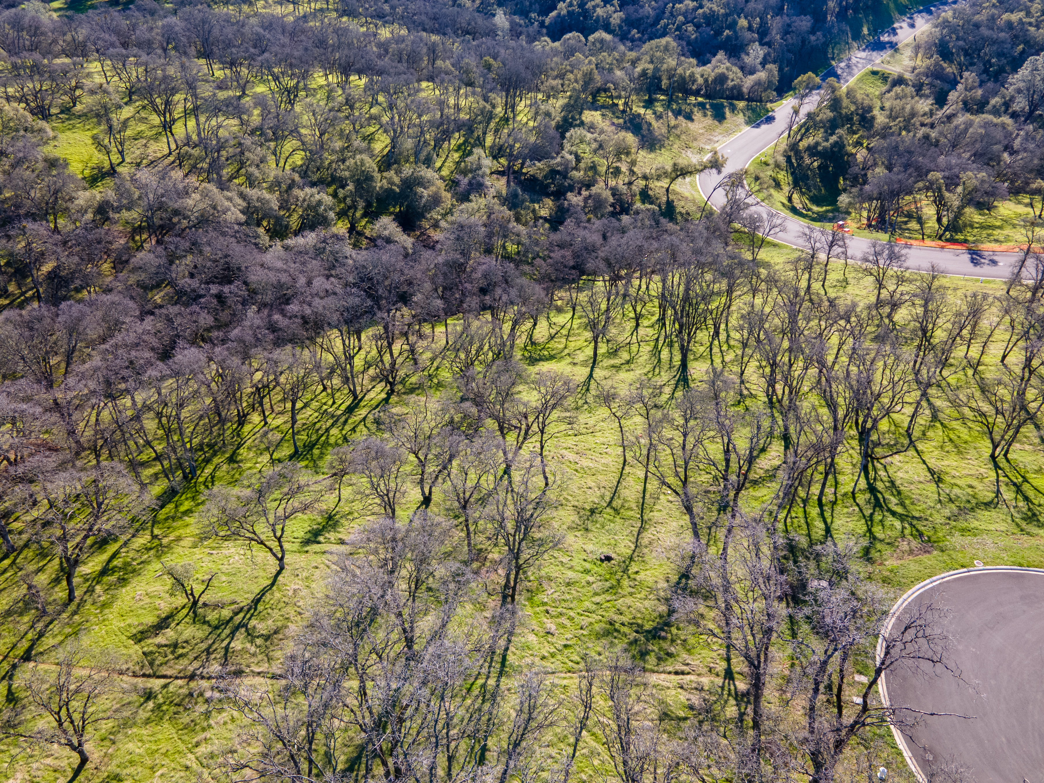 711 Peabody Court lot 148 
