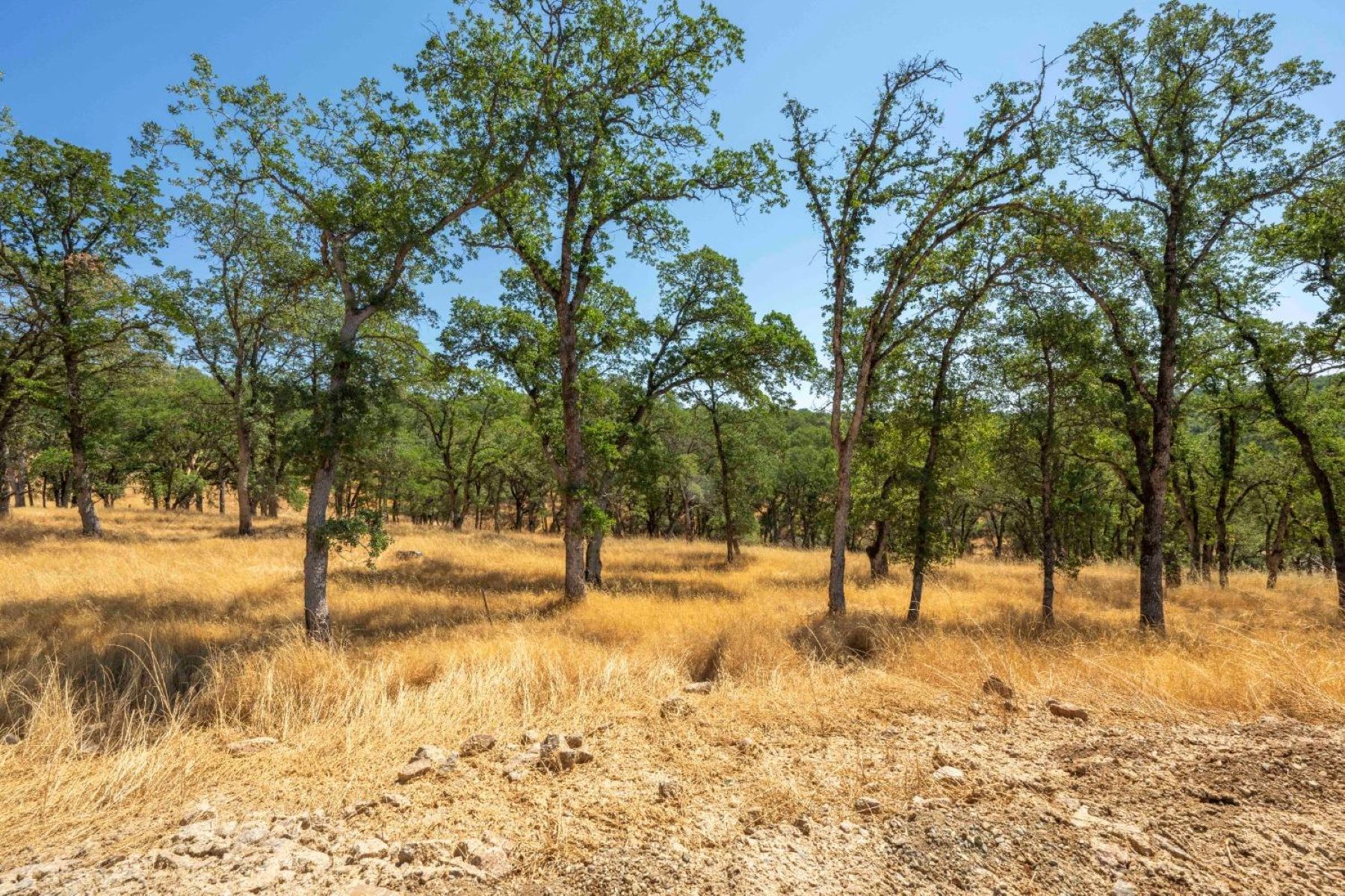 711 Peabody Court lot 148 