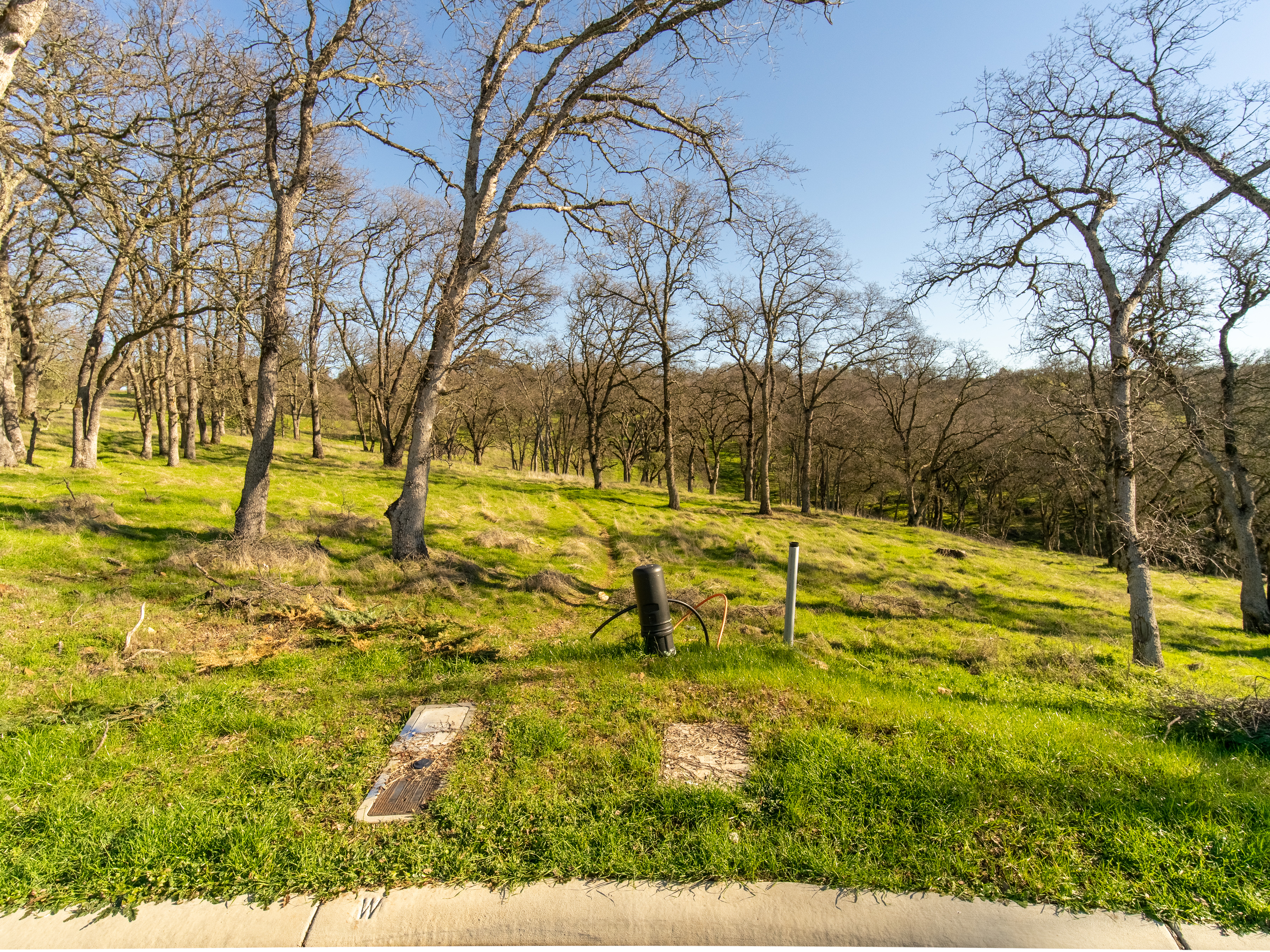 711 Peabody Court lot 148 
