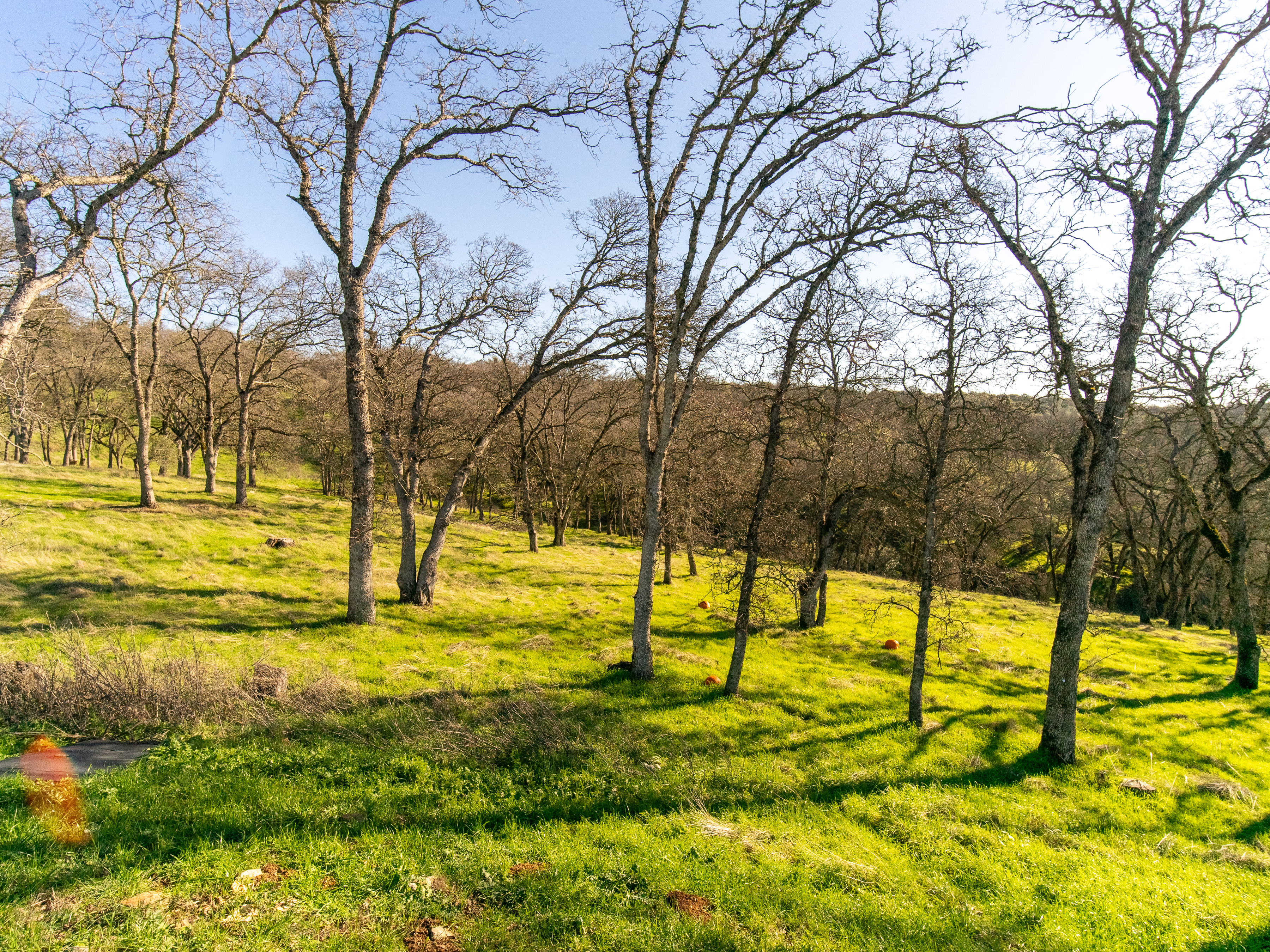 711 Peabody Court lot 148 