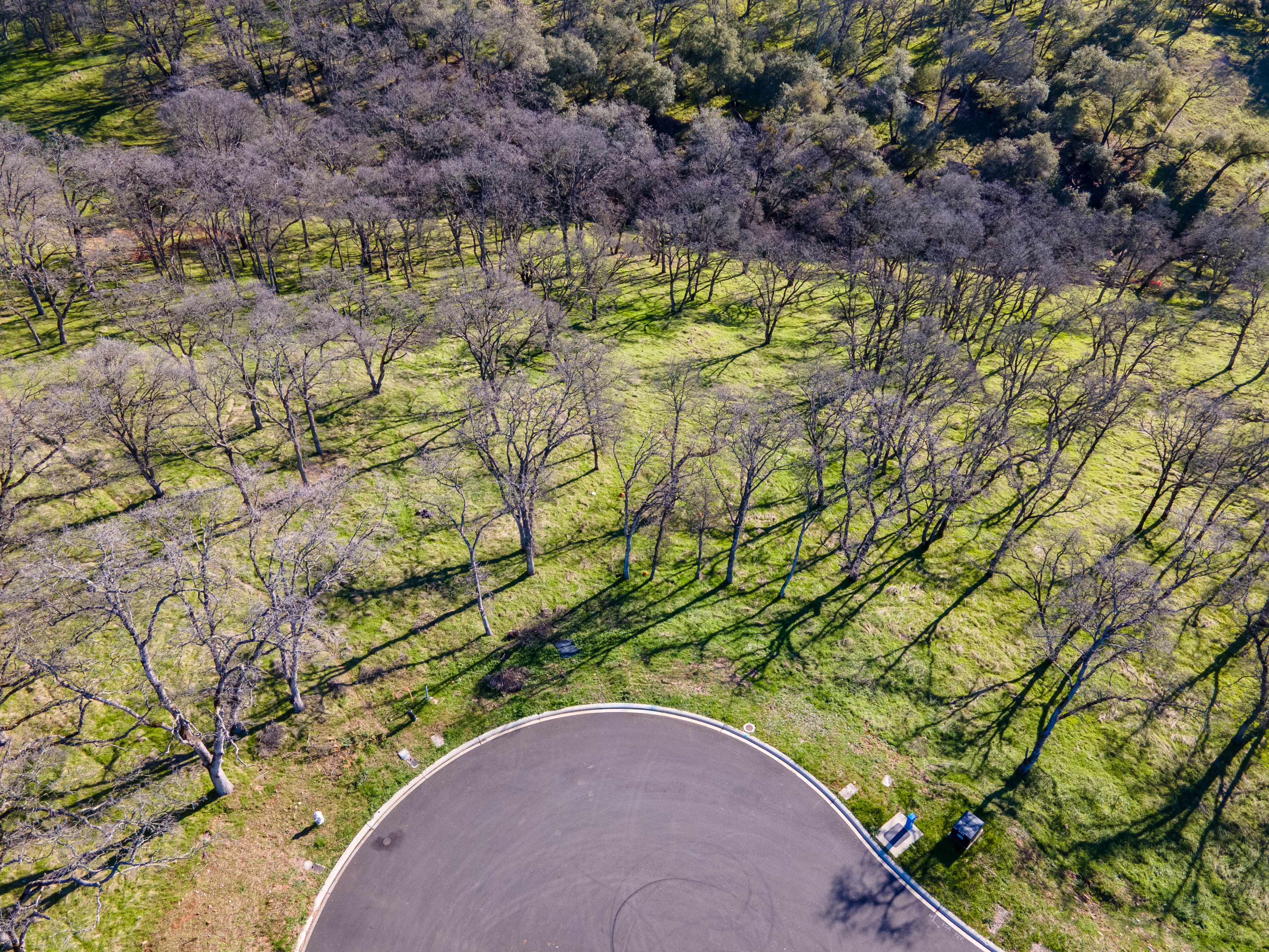 711 Peabody Court lot 148 