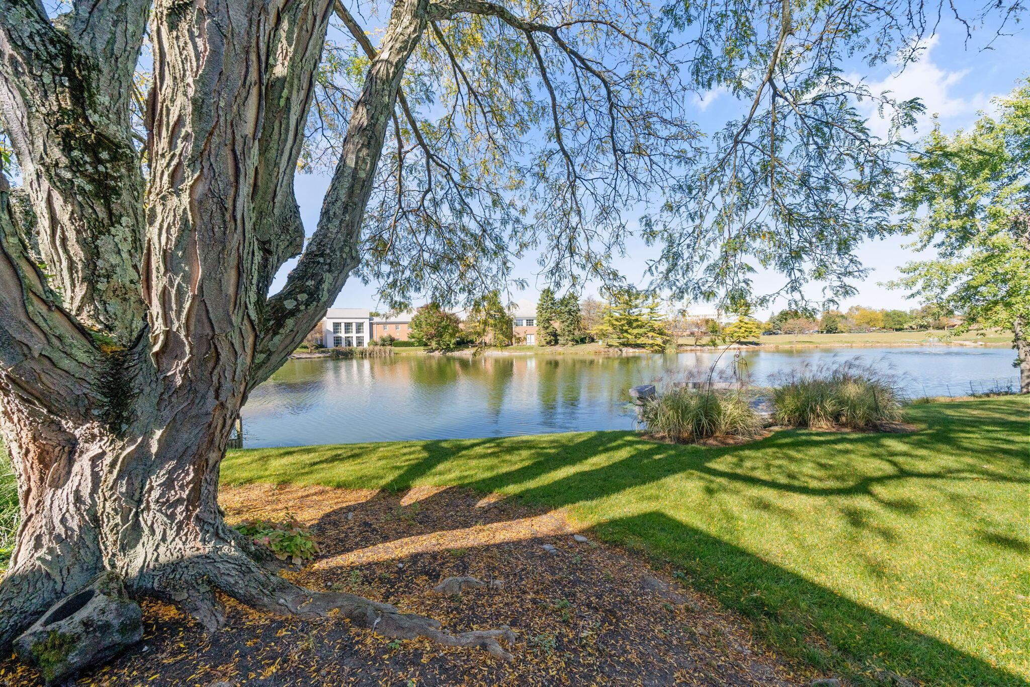 2310 Concord Village Drive