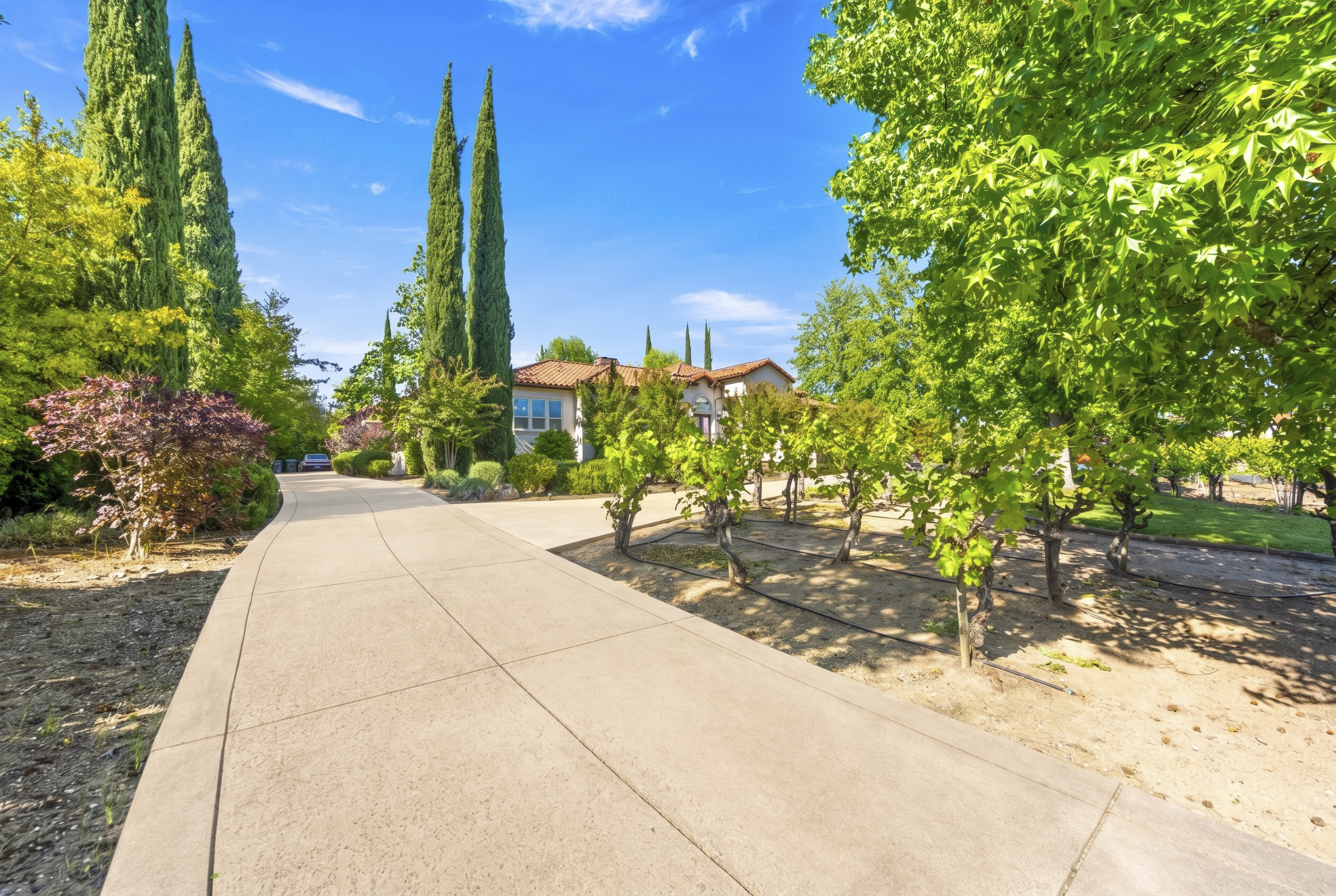 4300 Cognac Court 