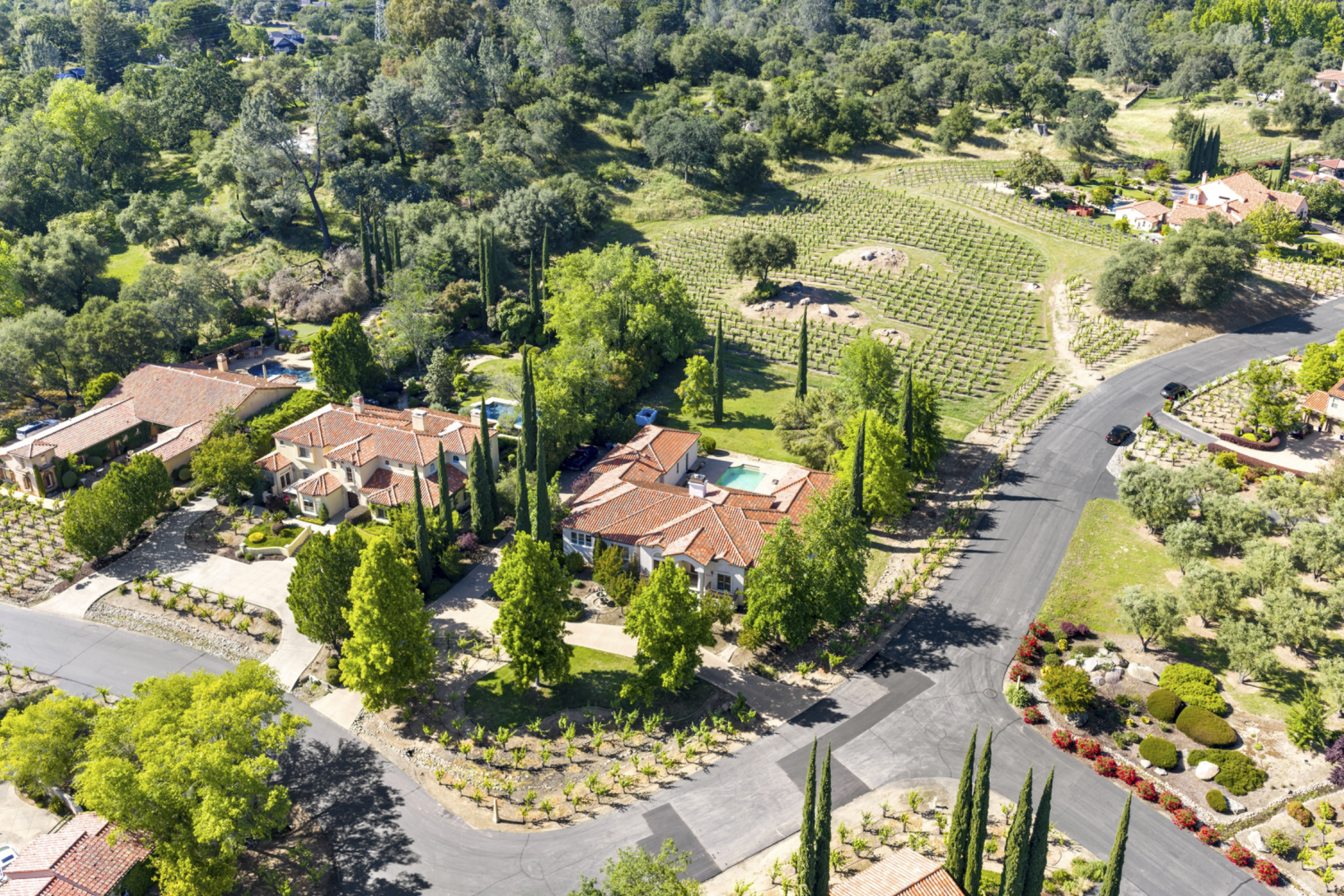 4300 Cognac Court 