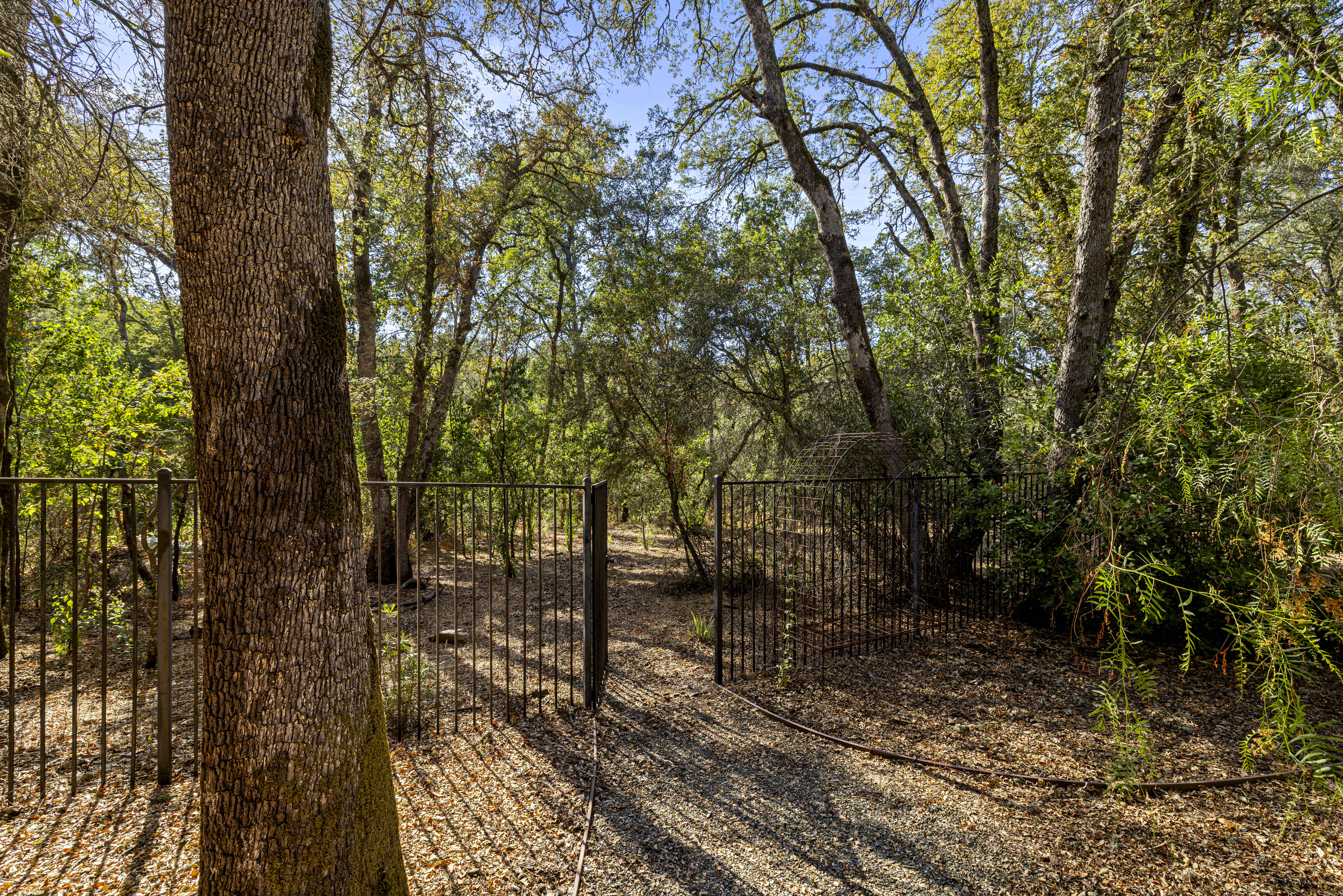 3092 Brackenwood Place 