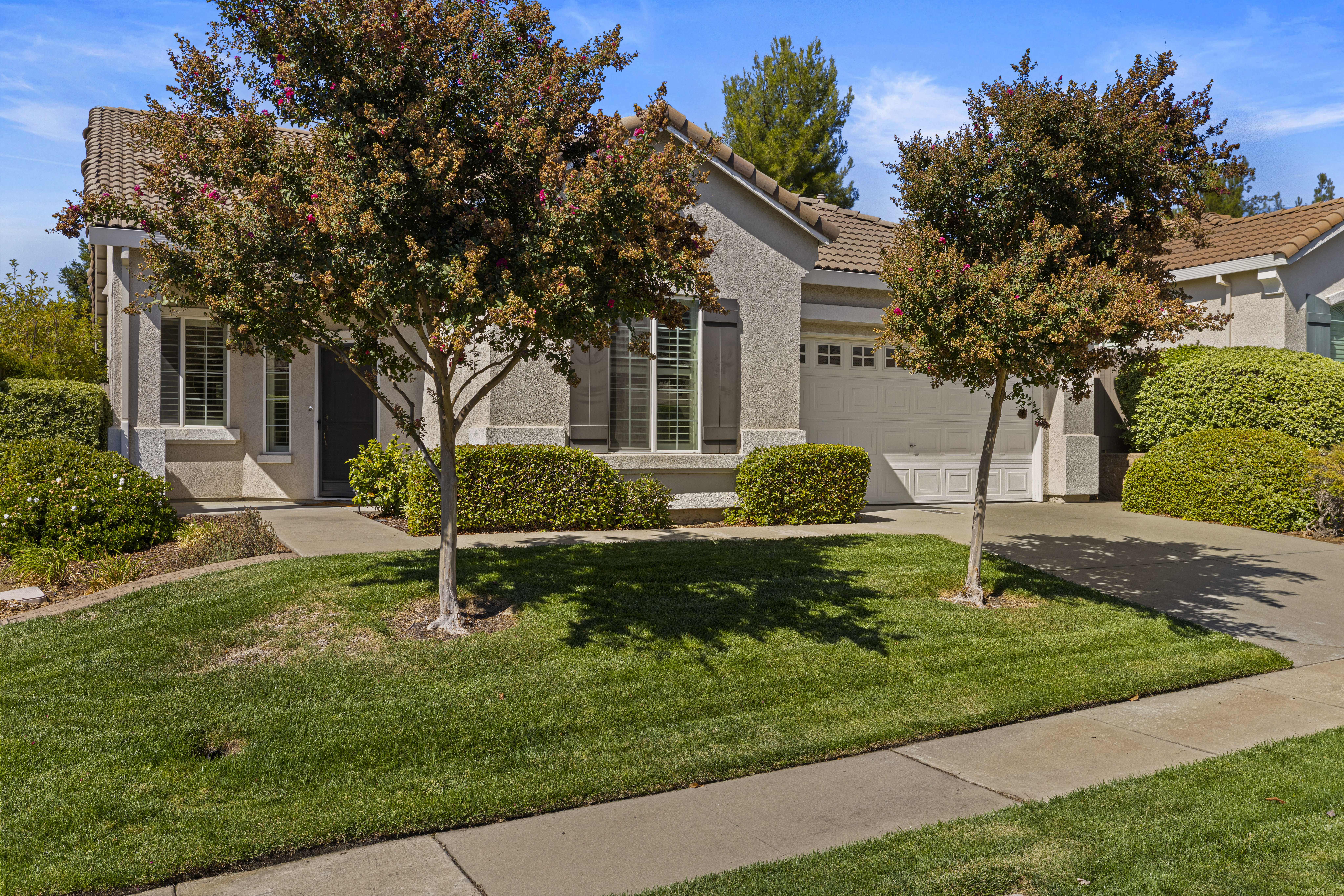 7036 Rushwood Drive 