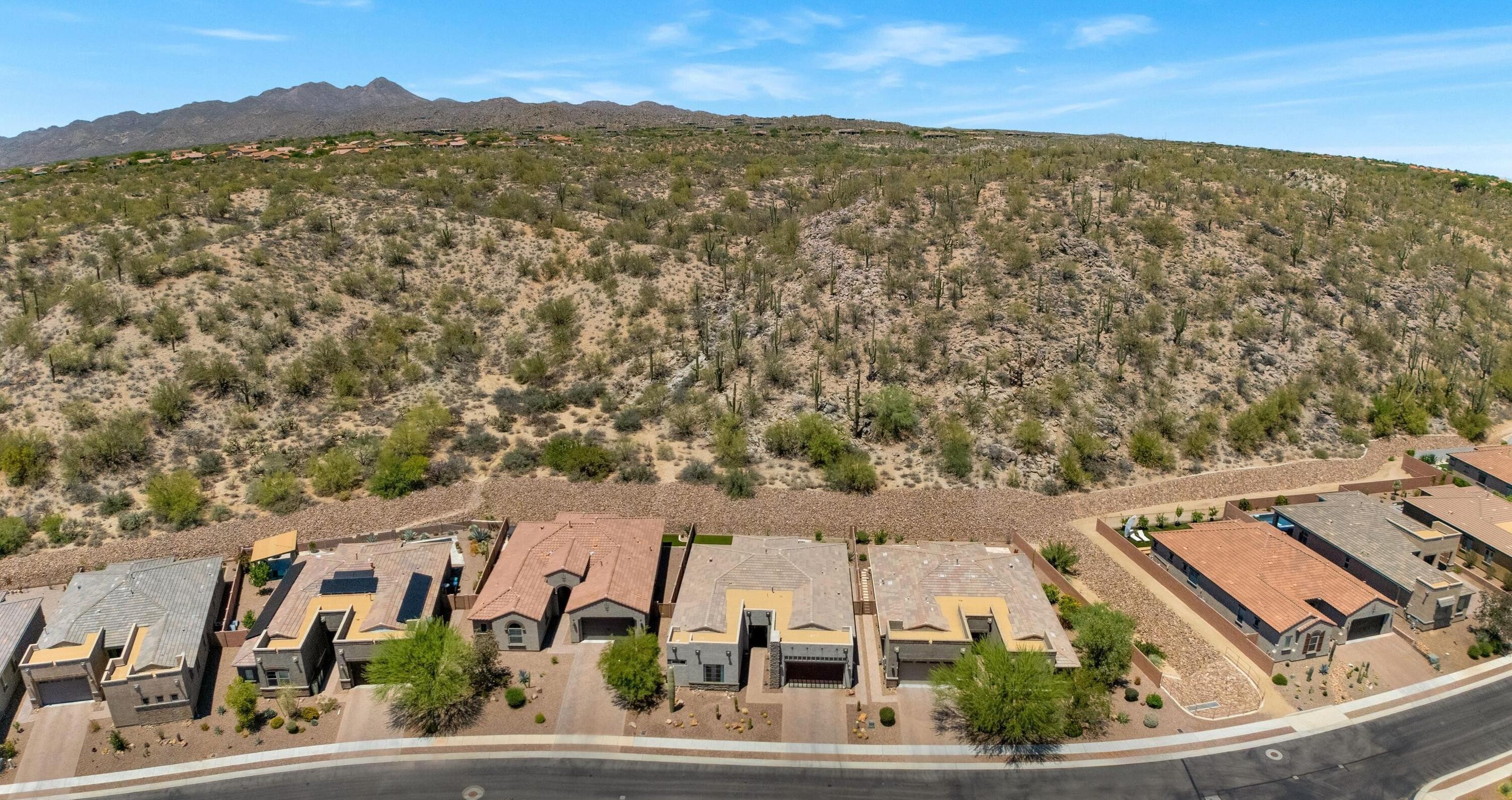 13477 N Mariposa Lily Drive 