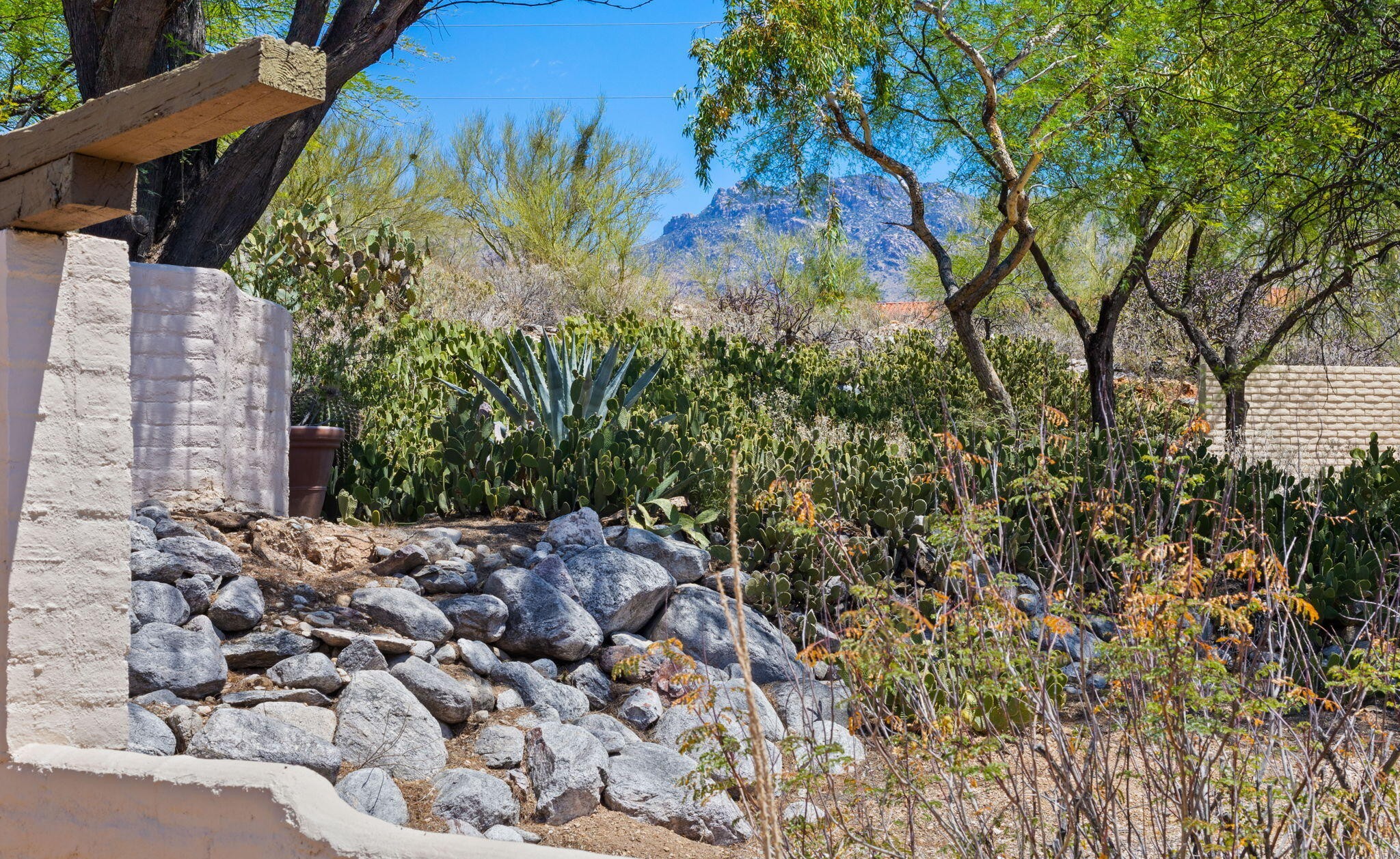 5406 N Camino de las Brisas 