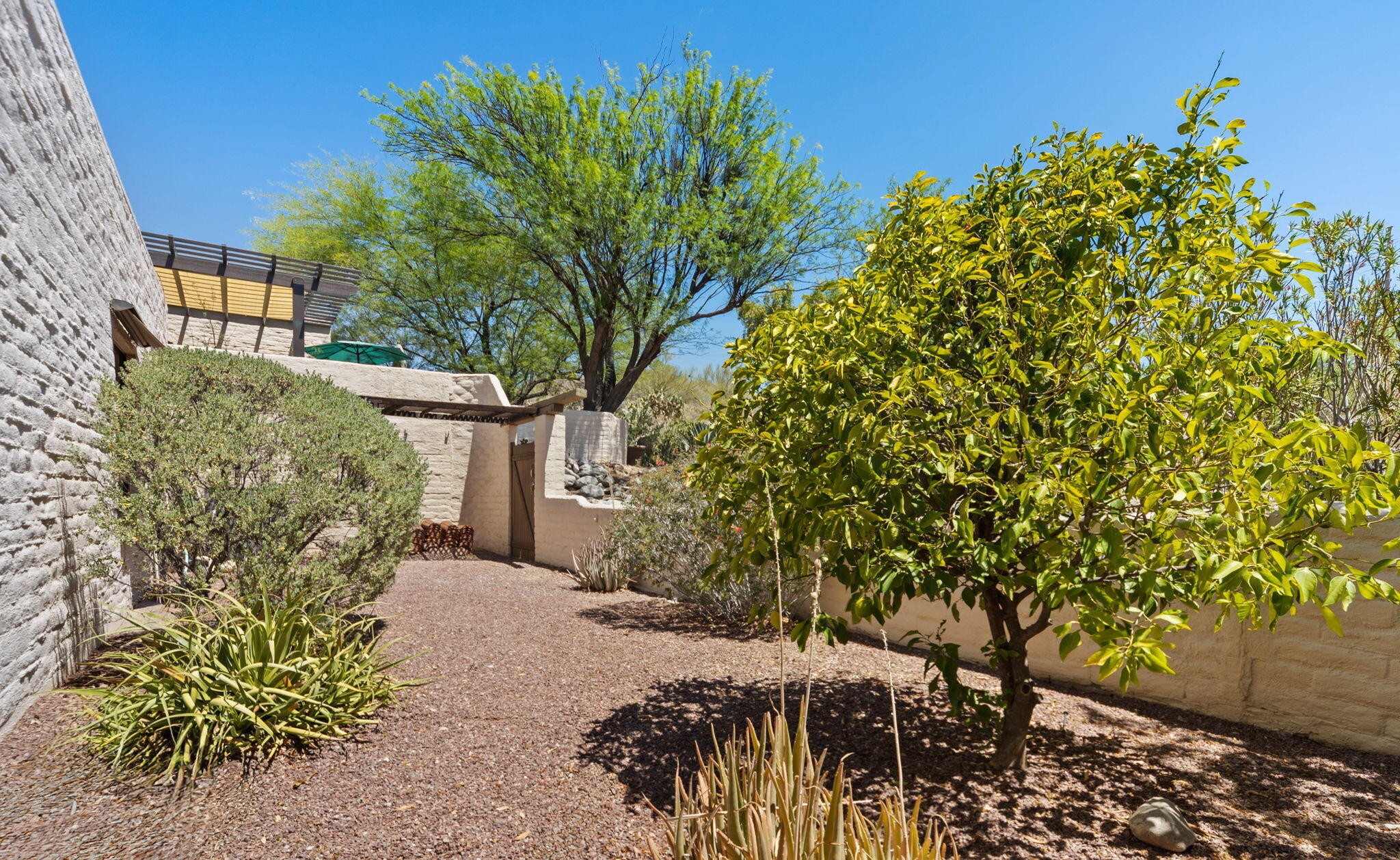 5406 N Camino de las Brisas 