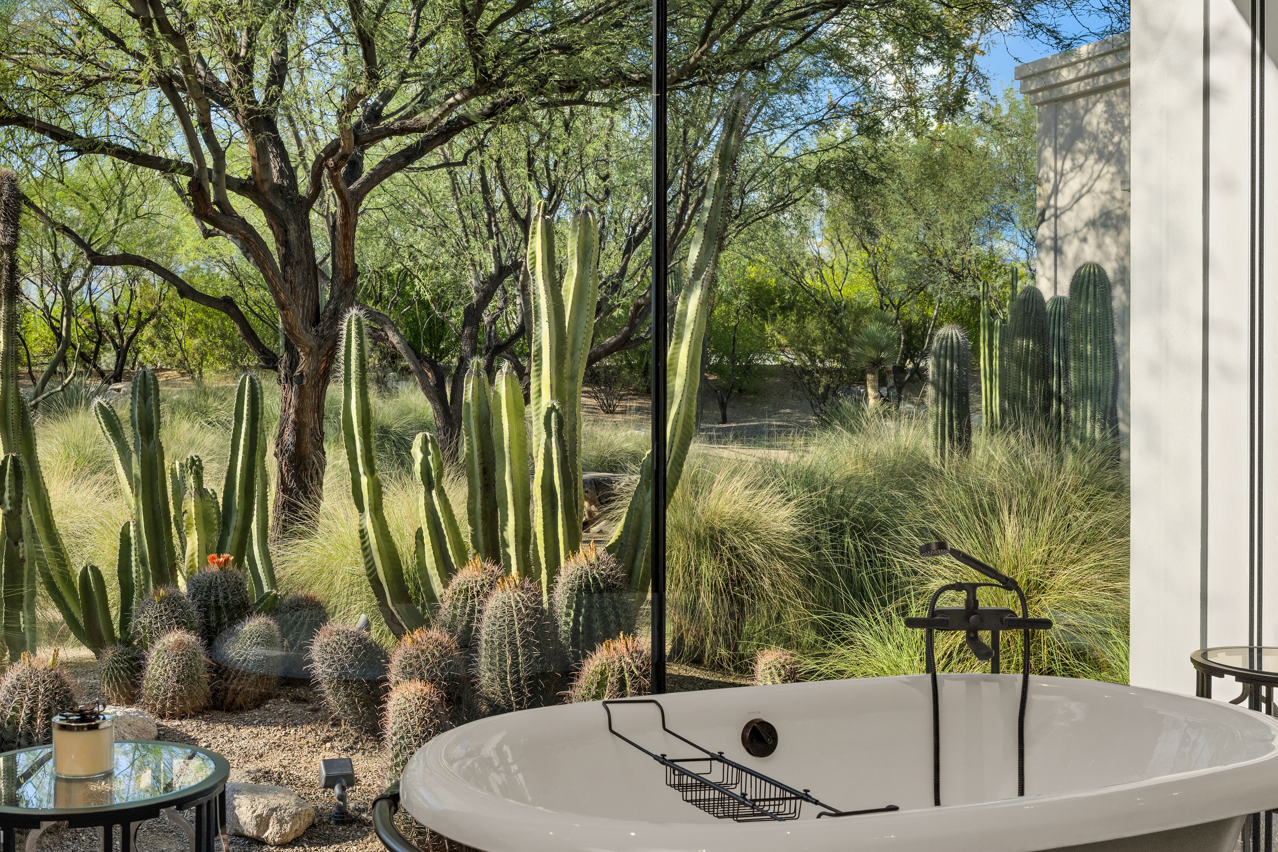 3978 N Canyon Ranch Drive 