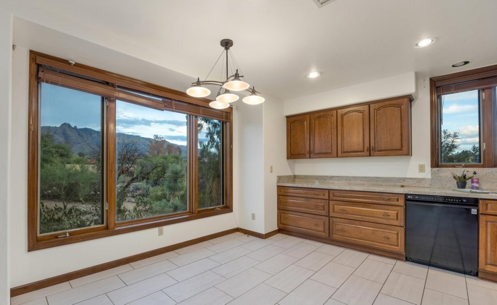 1710 E Calle de la Culebra 
