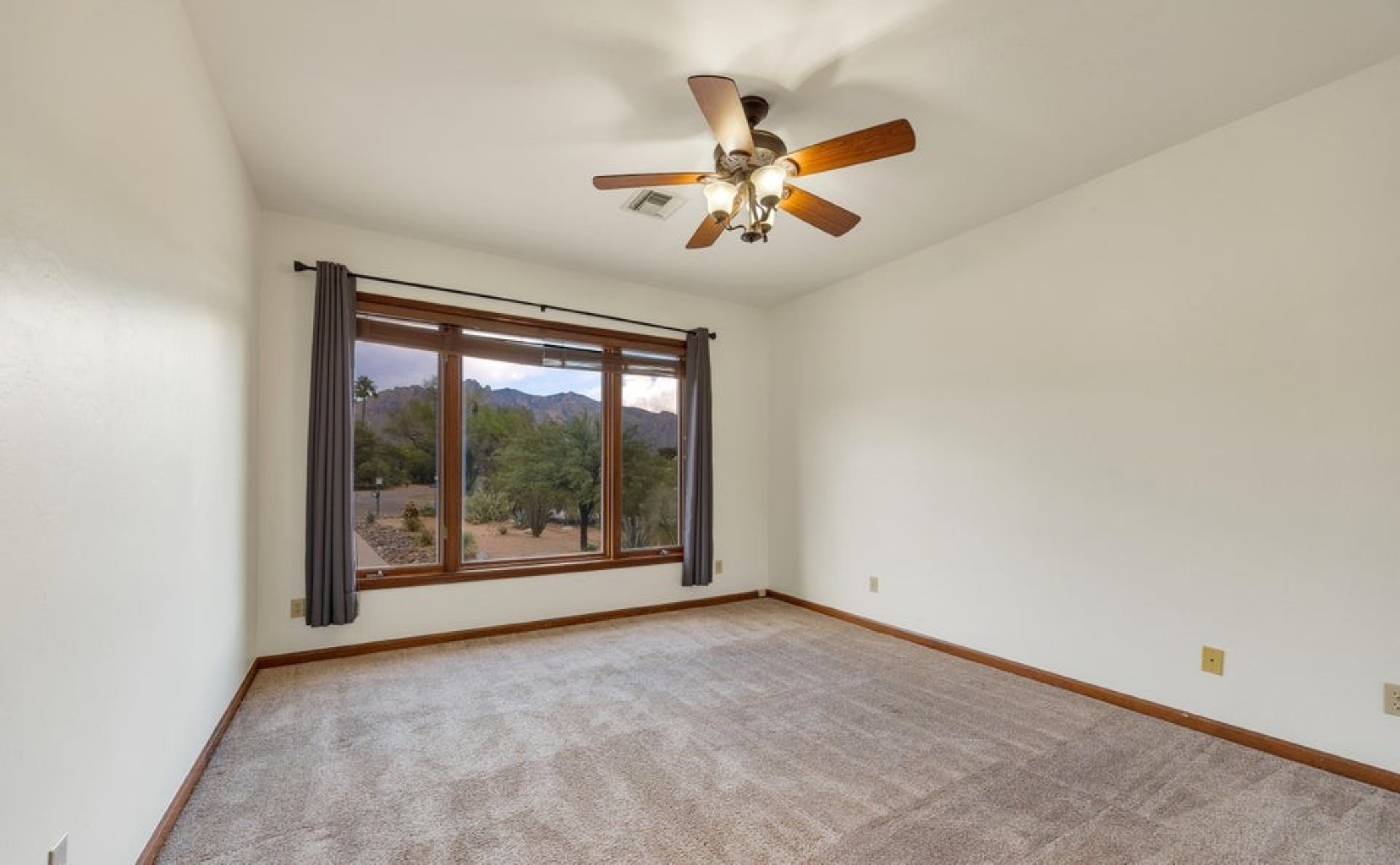 1710 E Calle de la Culebra 