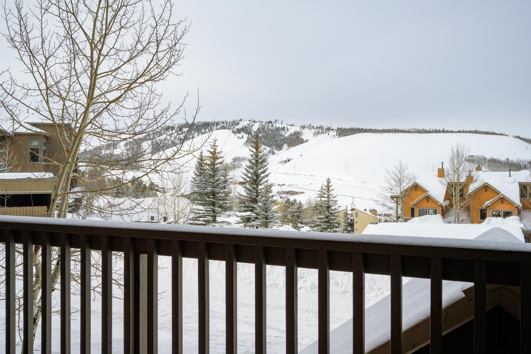 5204 Northstar #5-204 