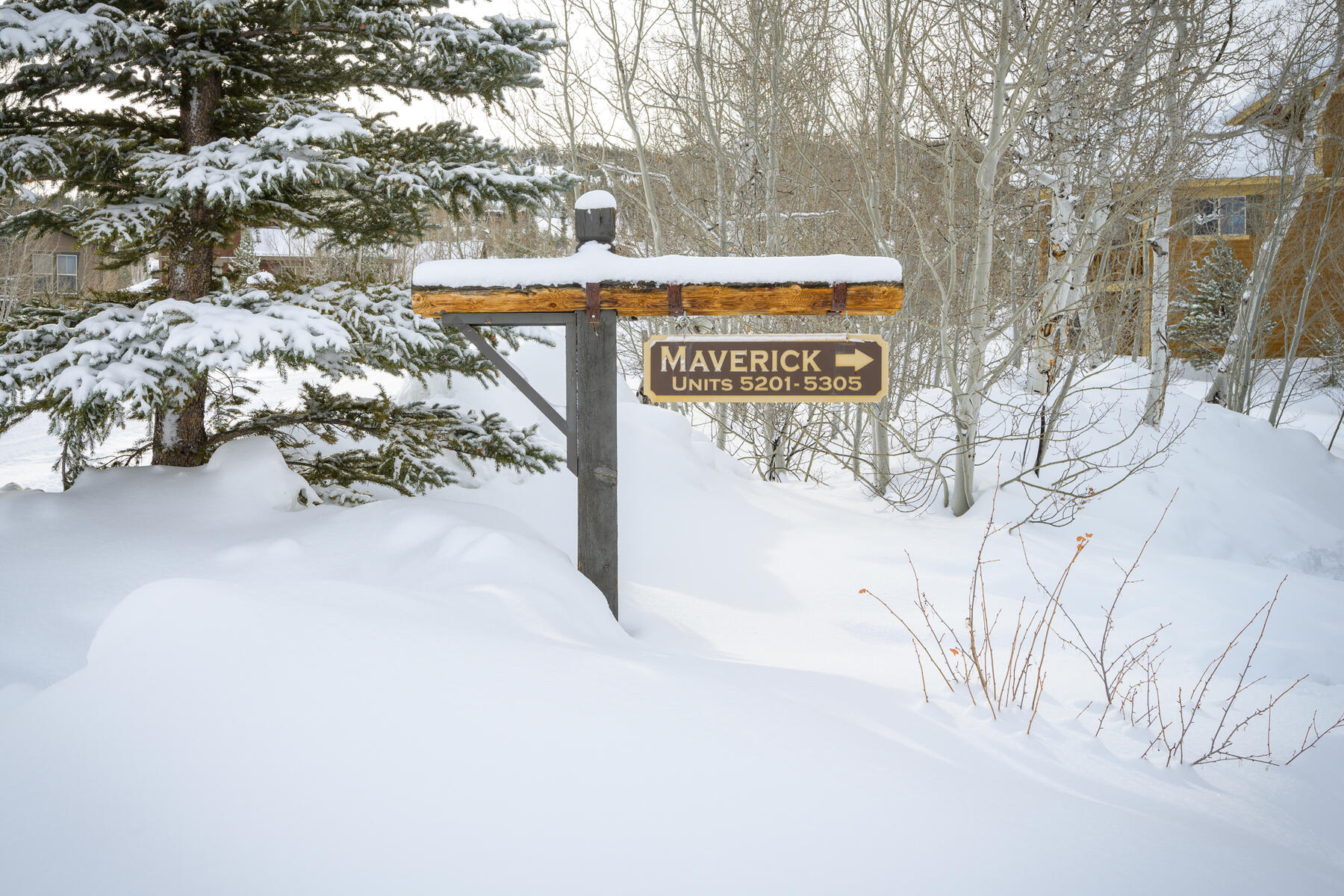 5204 Northstar #5-204 