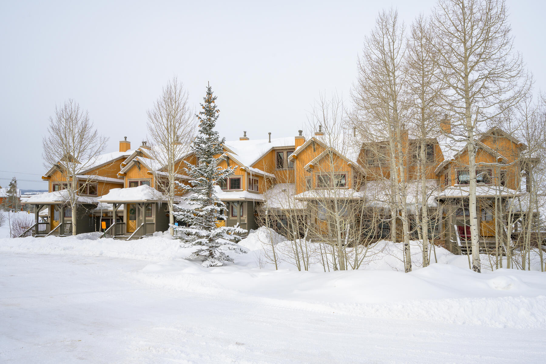 5204 Northstar #5-204 