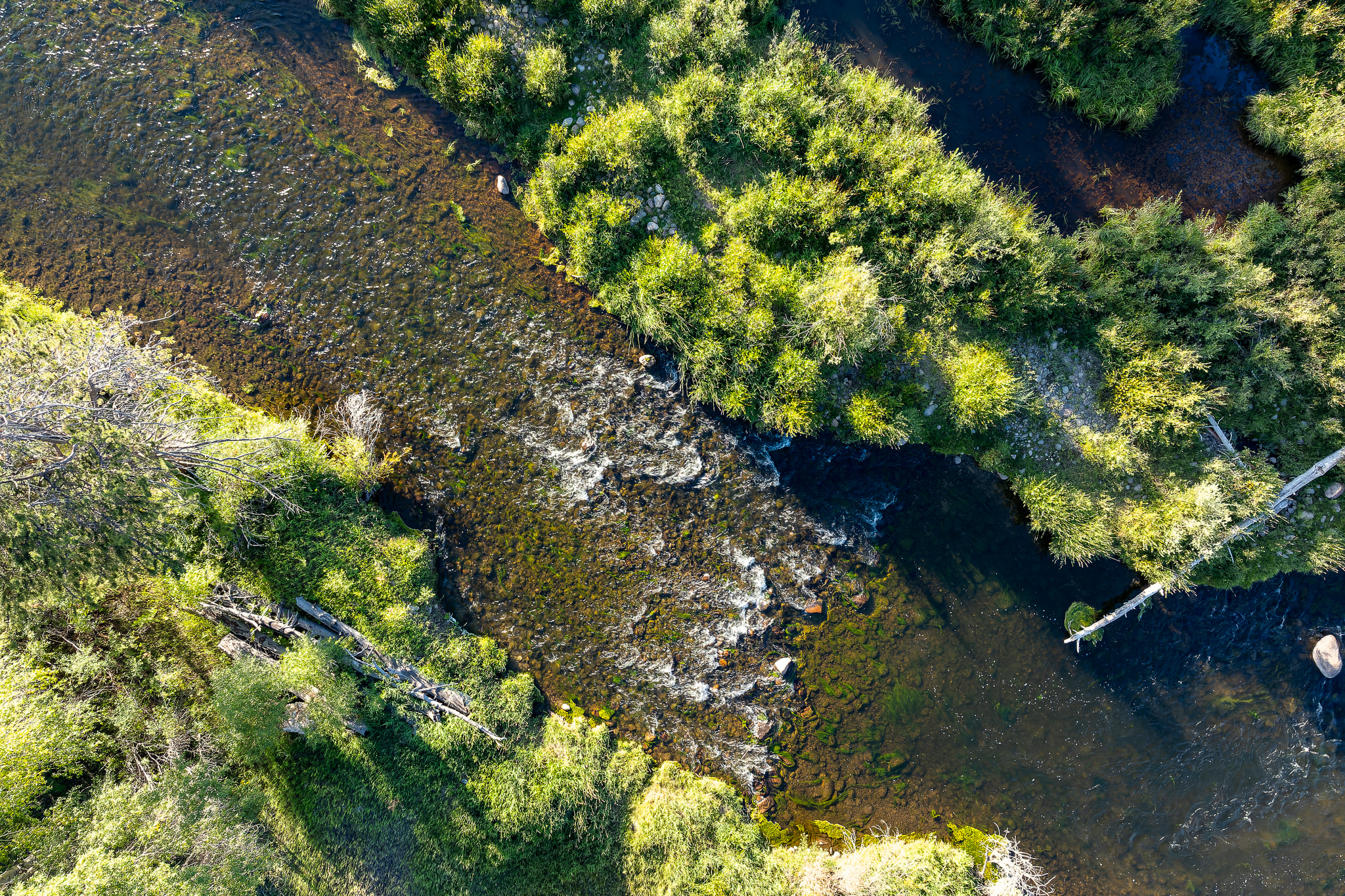 35 GCR 6203/35 Wild Strawberry Dr 