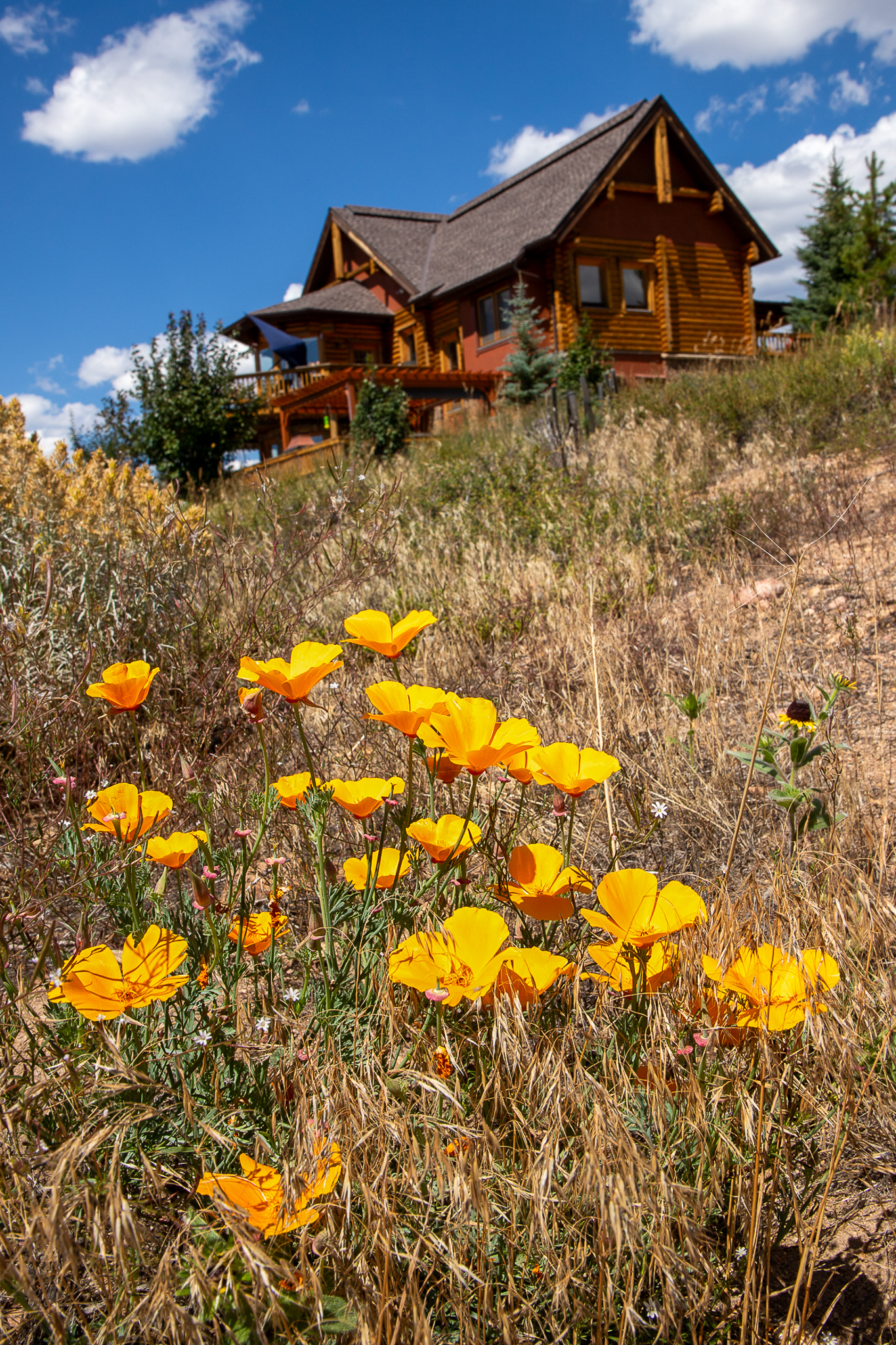 1747 Rocky Mountain Dr GCR 642 