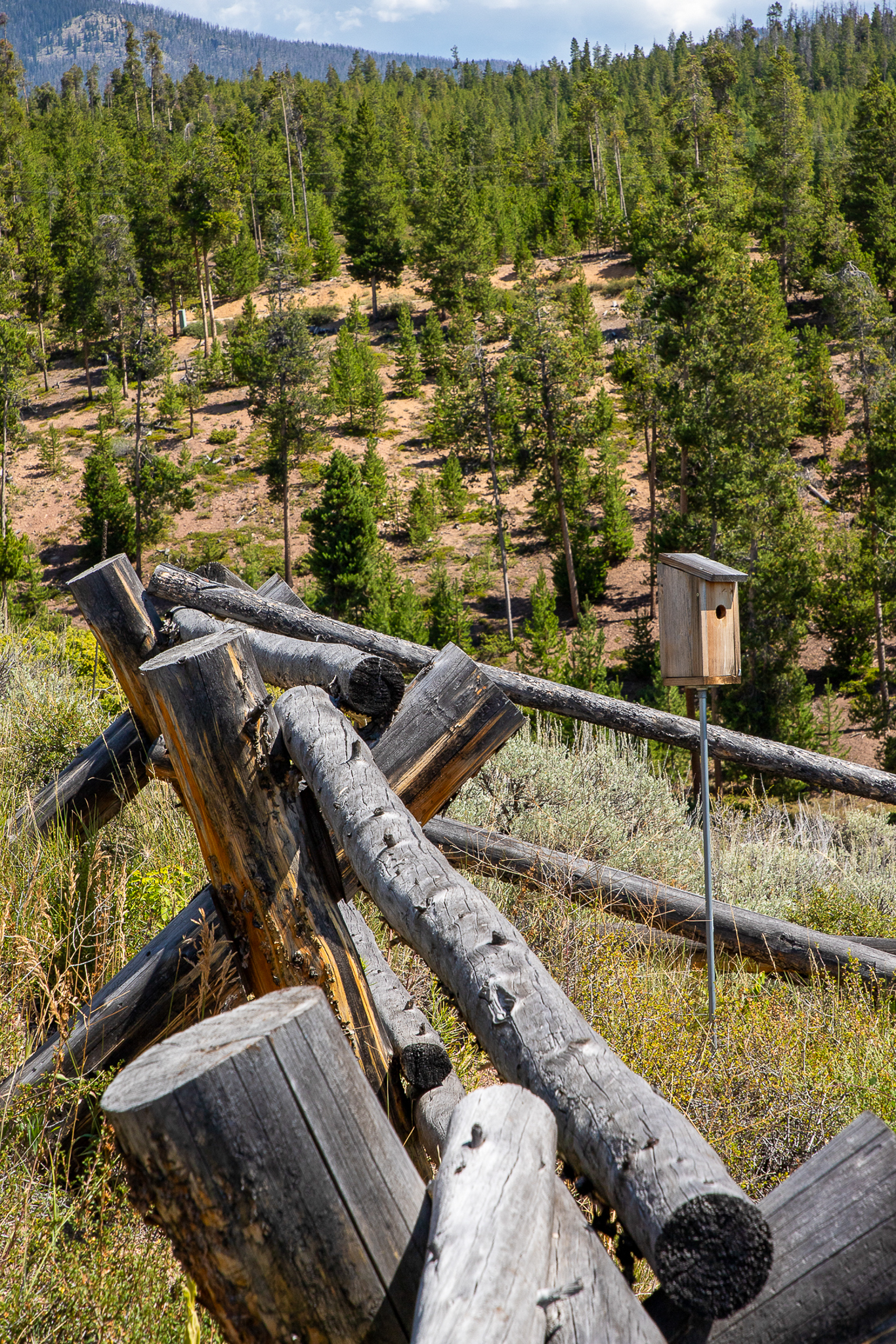 1747 Rocky Mountain Dr GCR 642 