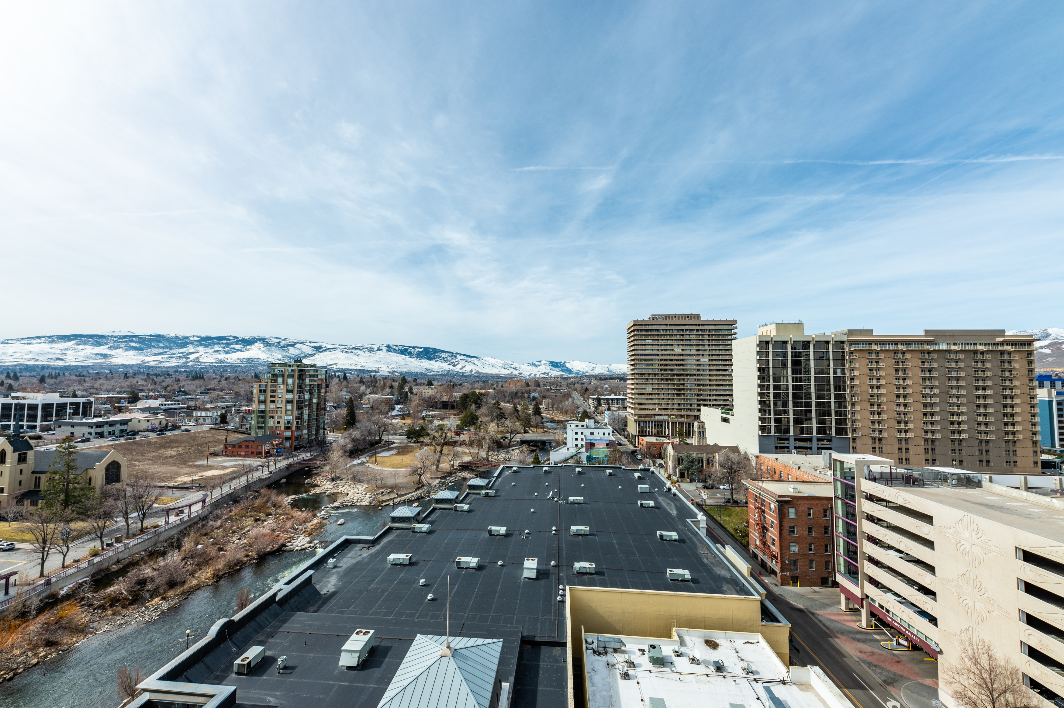 50 North Sierra Street #1202 