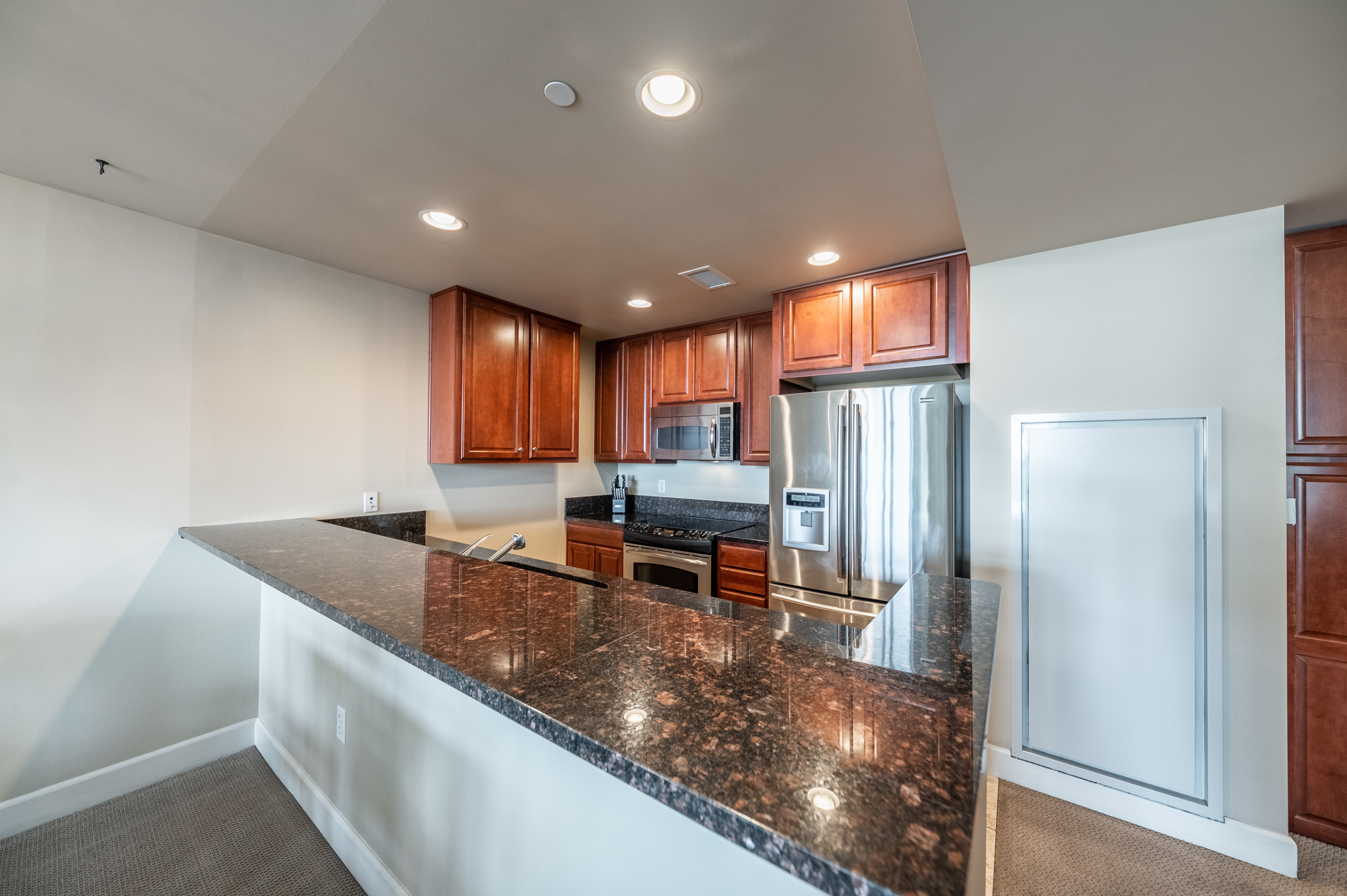 50 North Sierra Street #1202 
