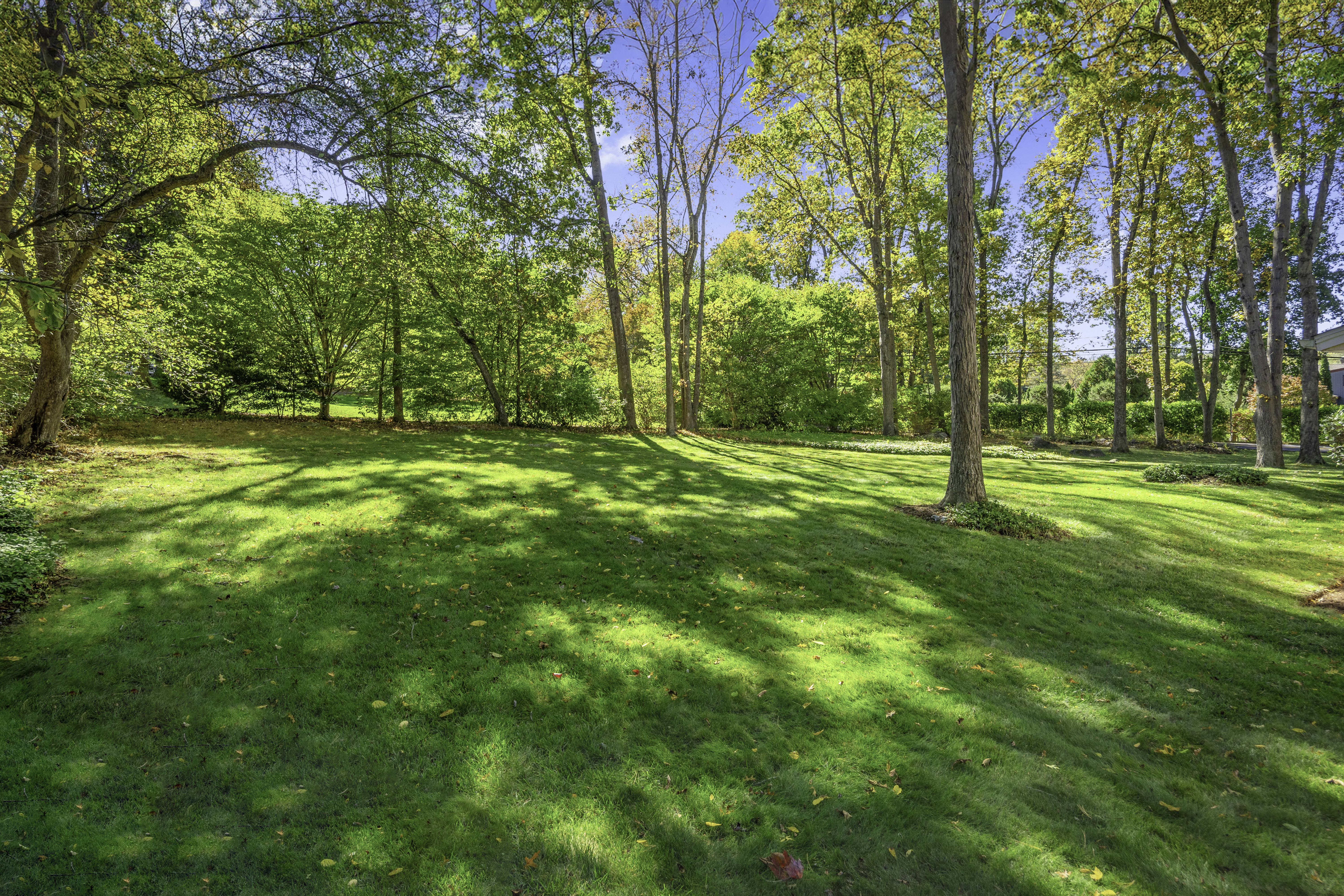 234 Marvin Ridge Road