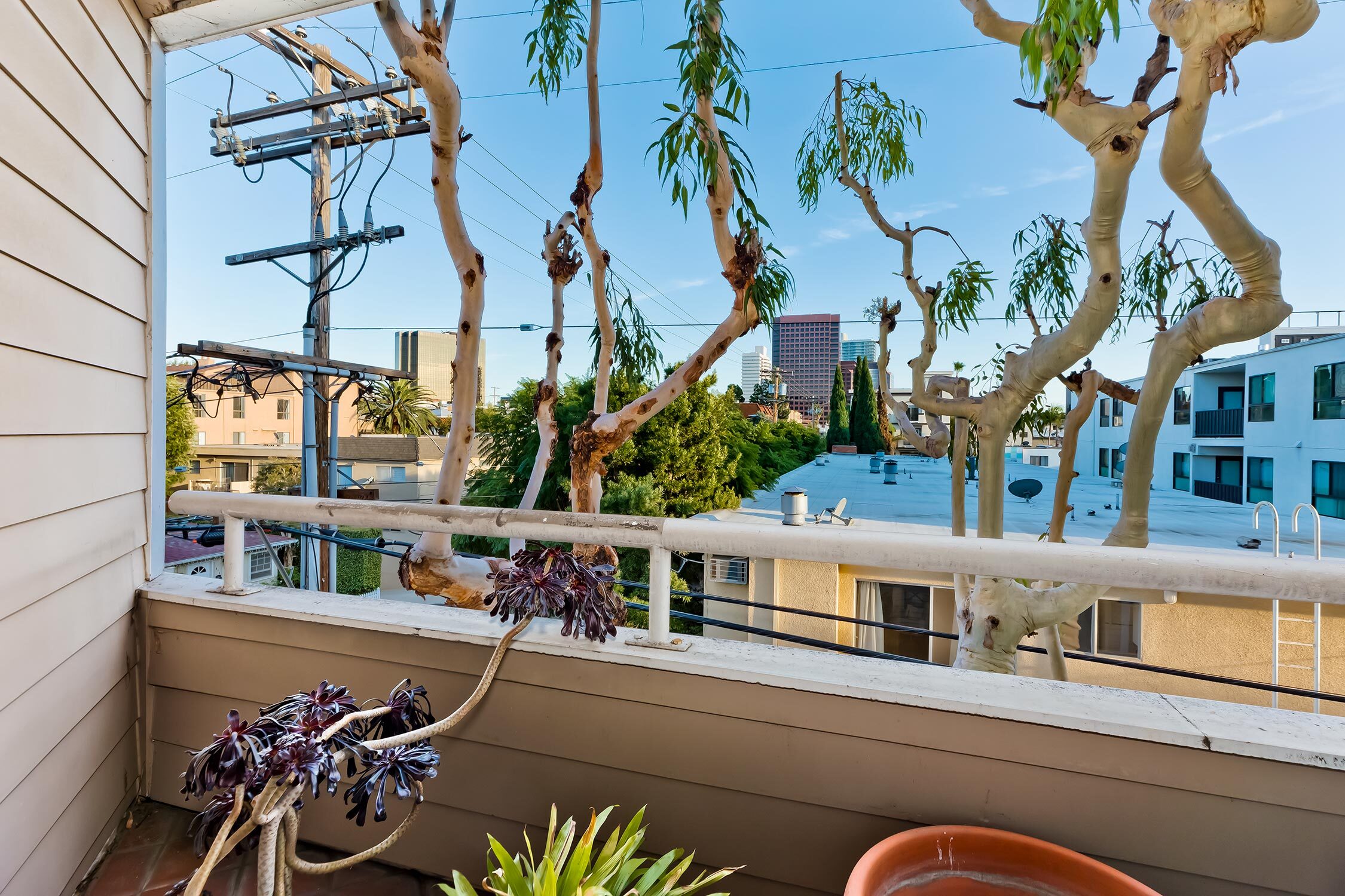 11808 Dorothy Street 203